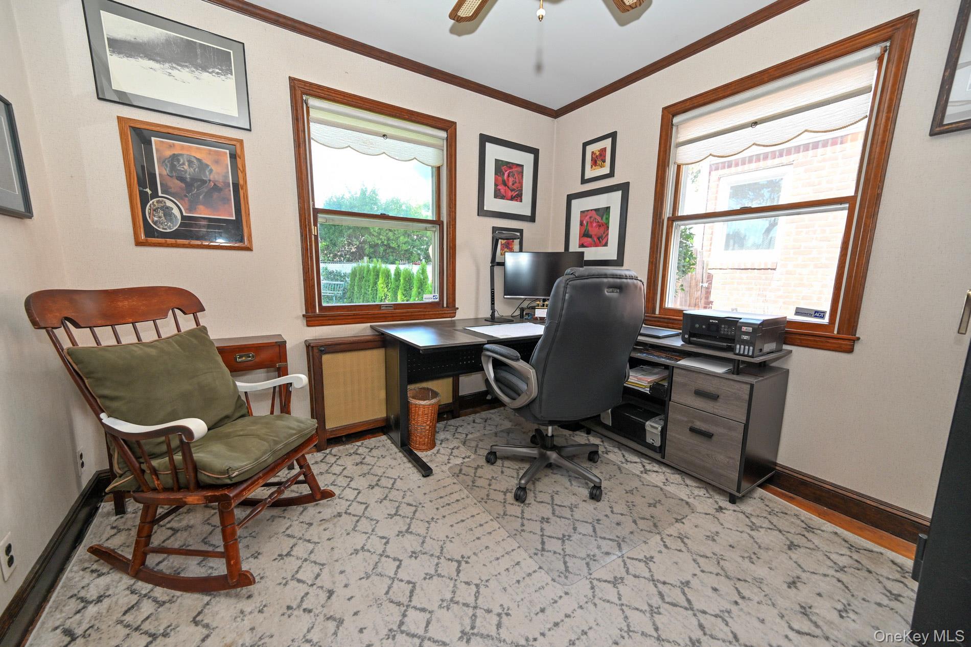 117 Euston Road Property Photo 13