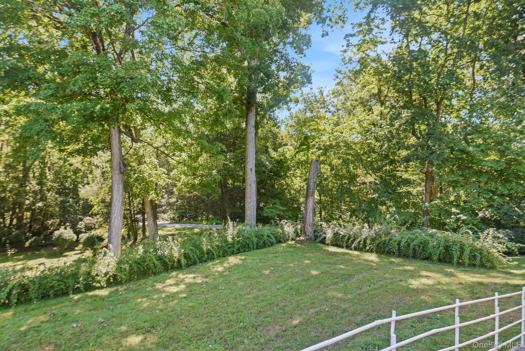 6 Arbutus Street Property Photo 24