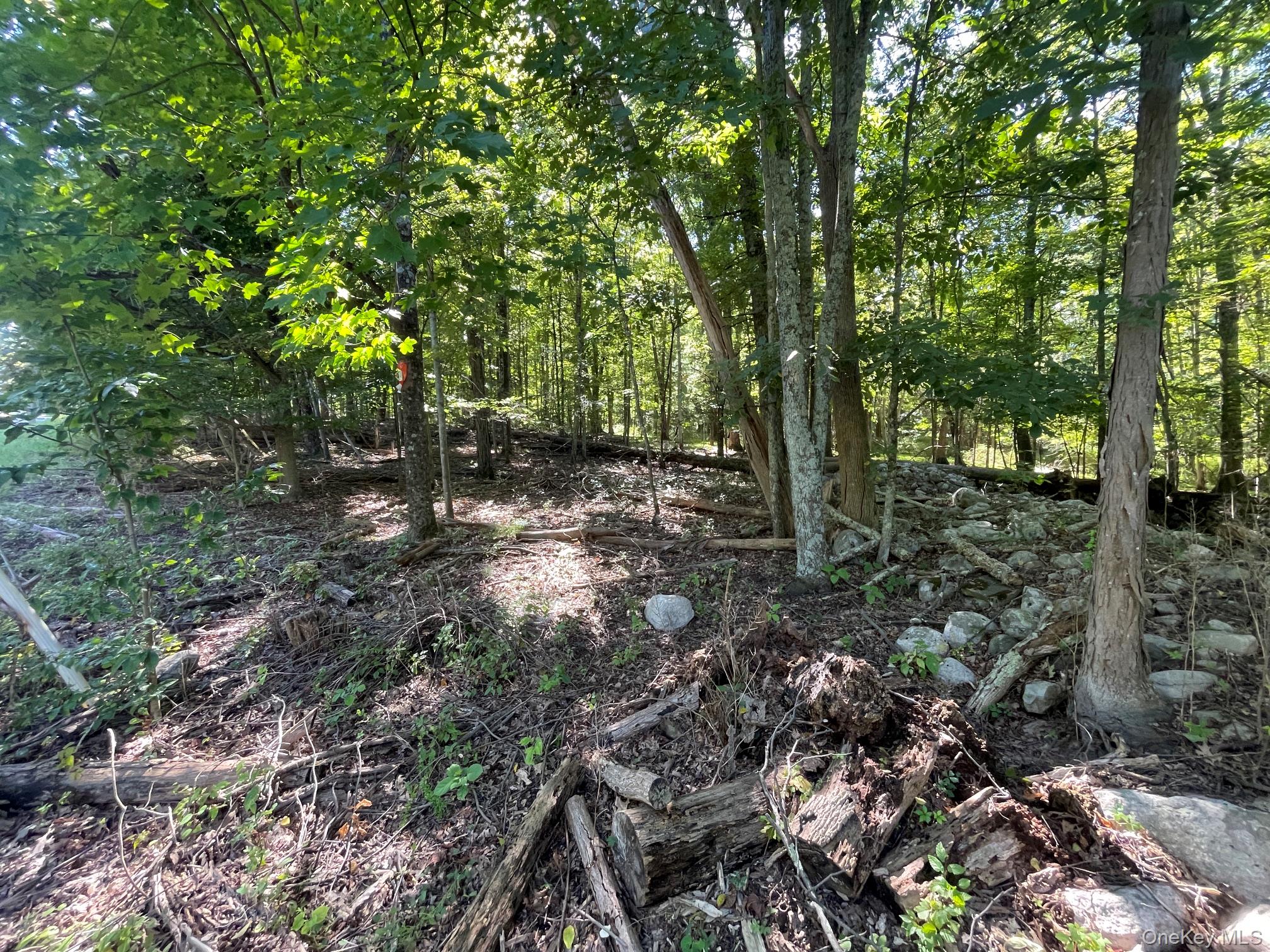 Co Rte 48 Property Photo 2