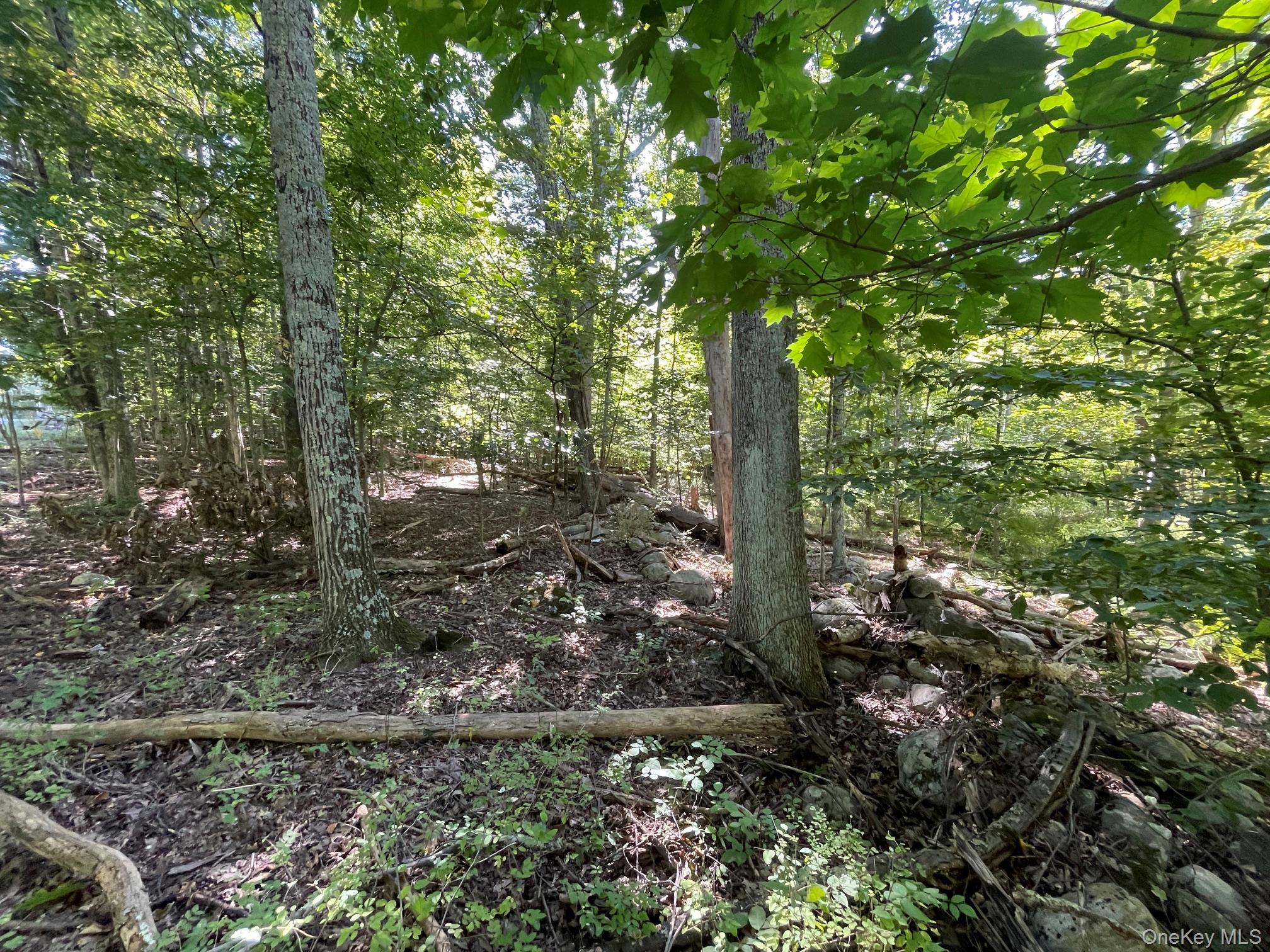 Co Rte 48 Property Photo 3