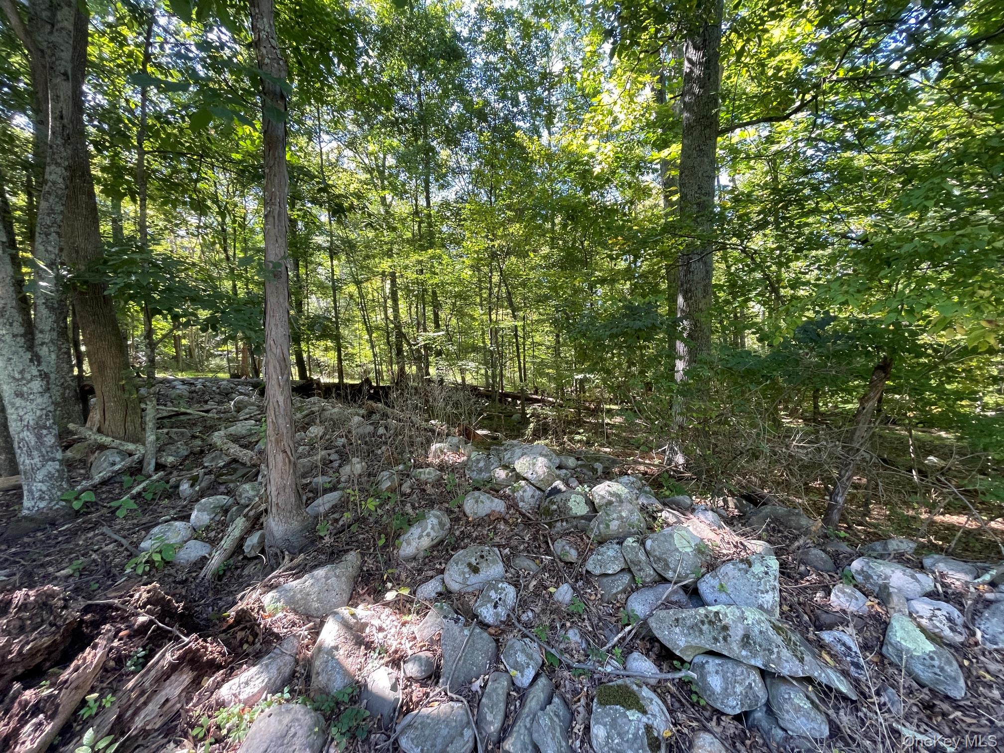 Co Rte 48 Property Photo 2