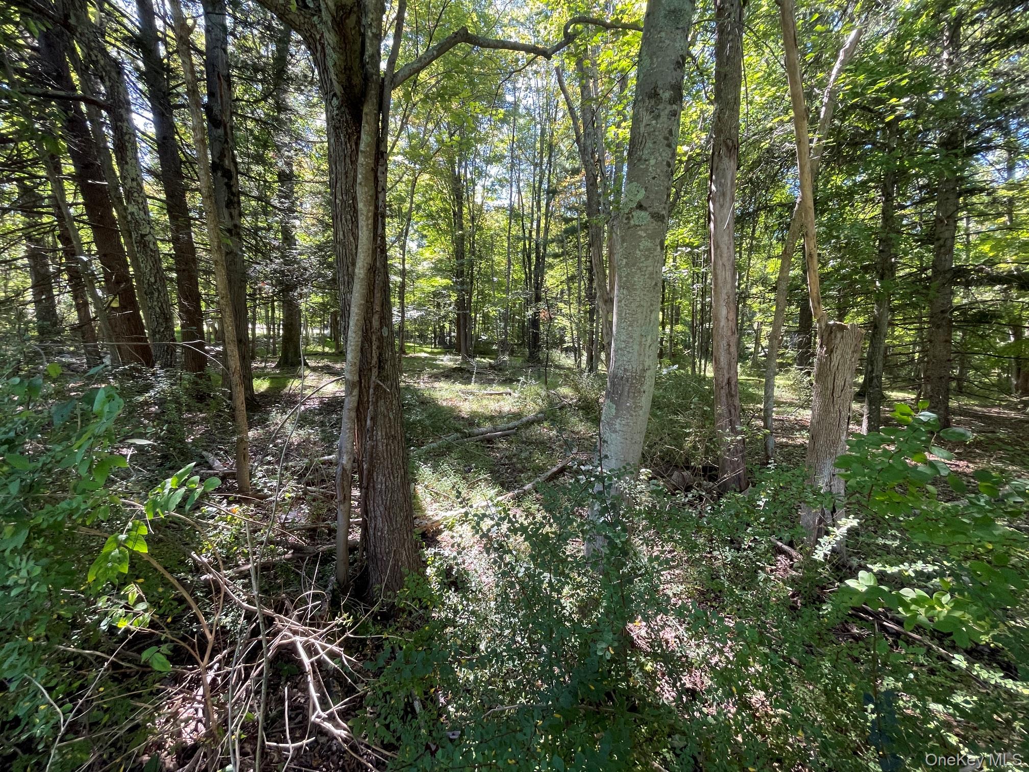 Co Rte 48 Property Photo 4
