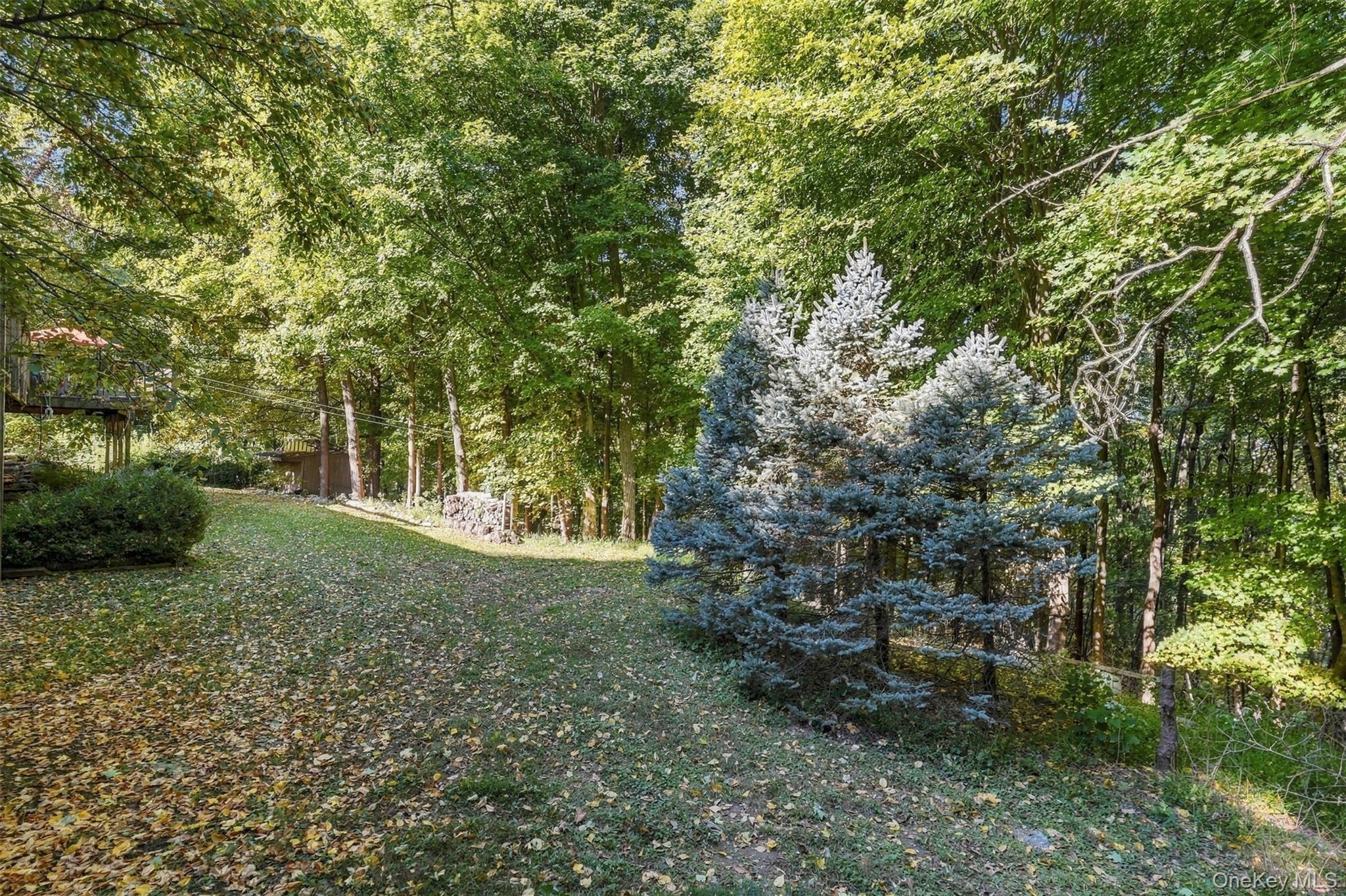 7 Abbey Road Property Photo 46