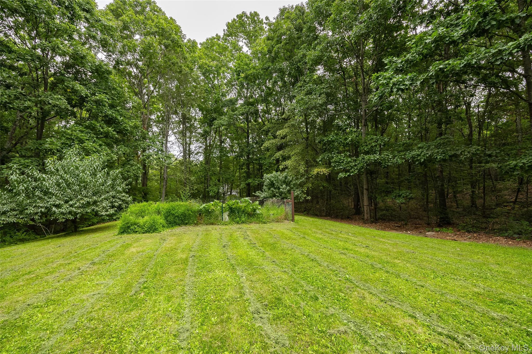 428 Clinton Hollow Road Property Photo 20