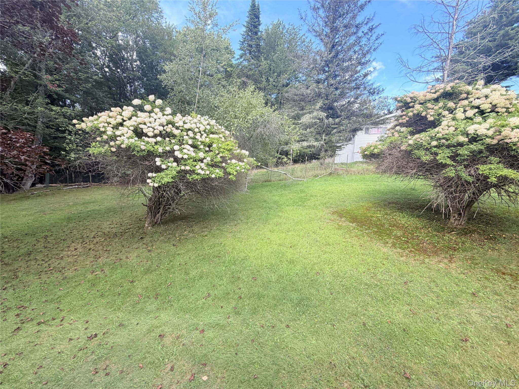 25 Miles Property Photo 15