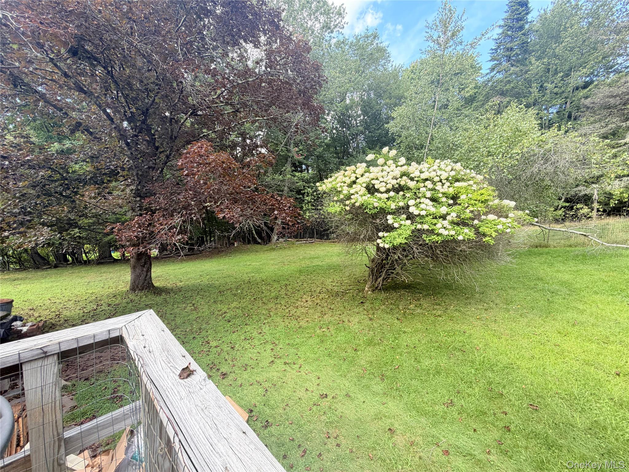25 Miles Property Photo 16