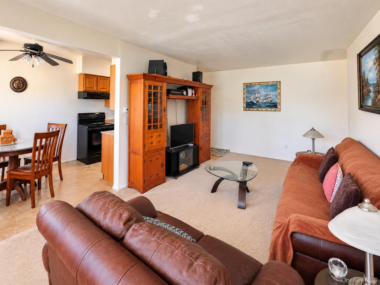 50 Cromwell Terrace 6 Property Photo 2