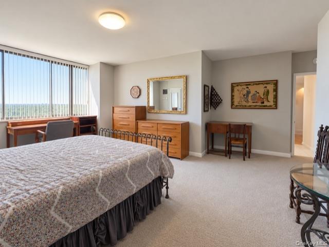 26910 Grand Central Parkway 15b Property Photo 16