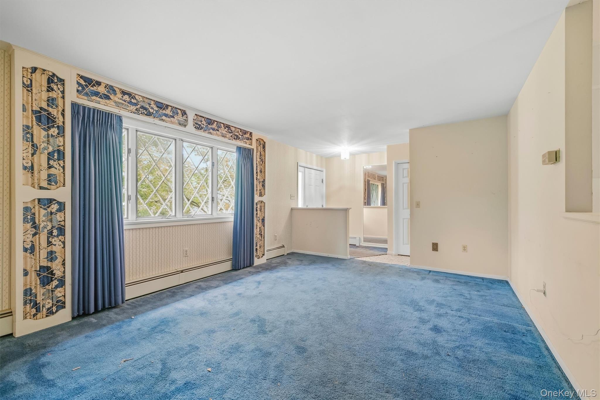 54 Clancy Avenue Property Photo 6