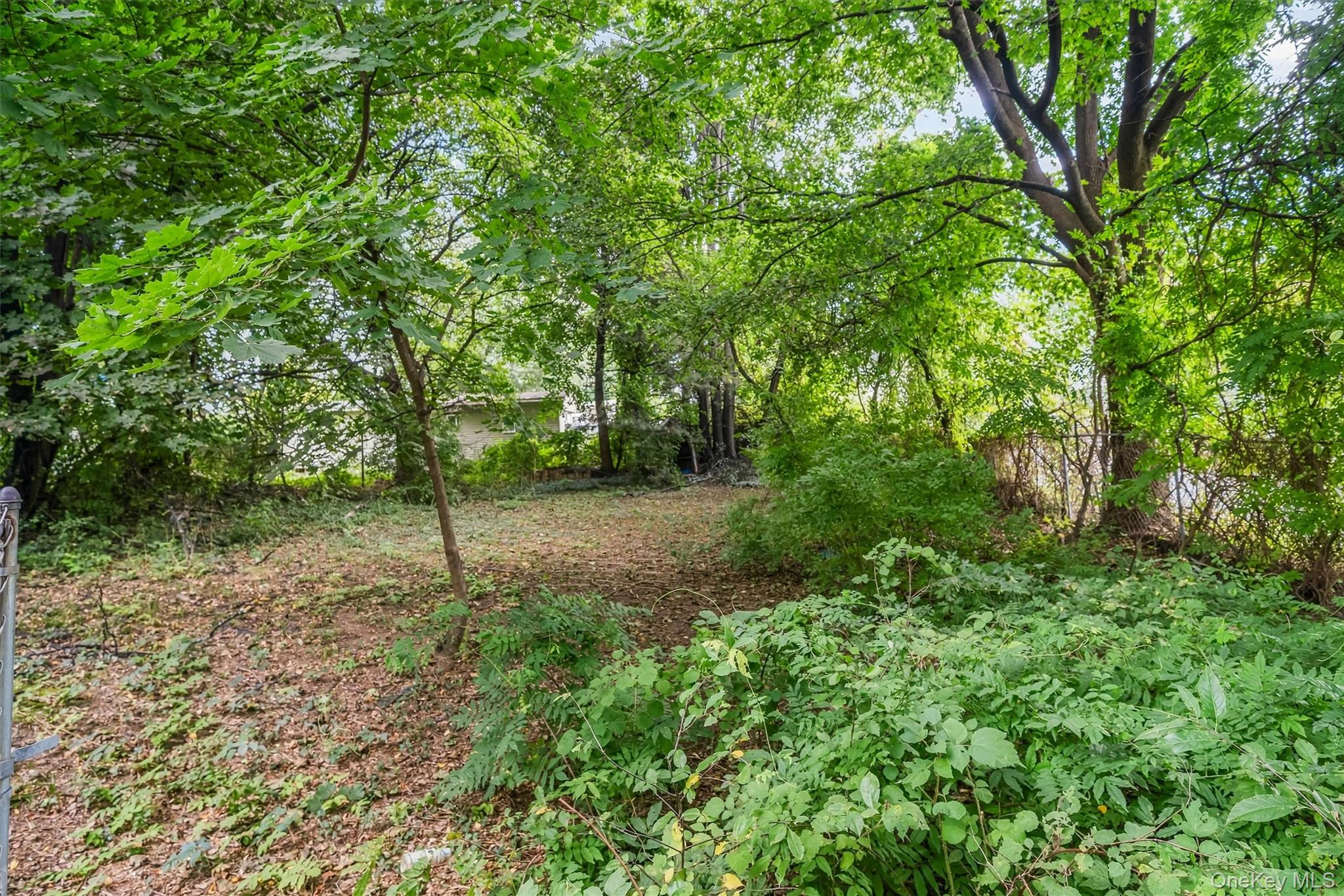 54 Clancy Avenue Property Photo 31