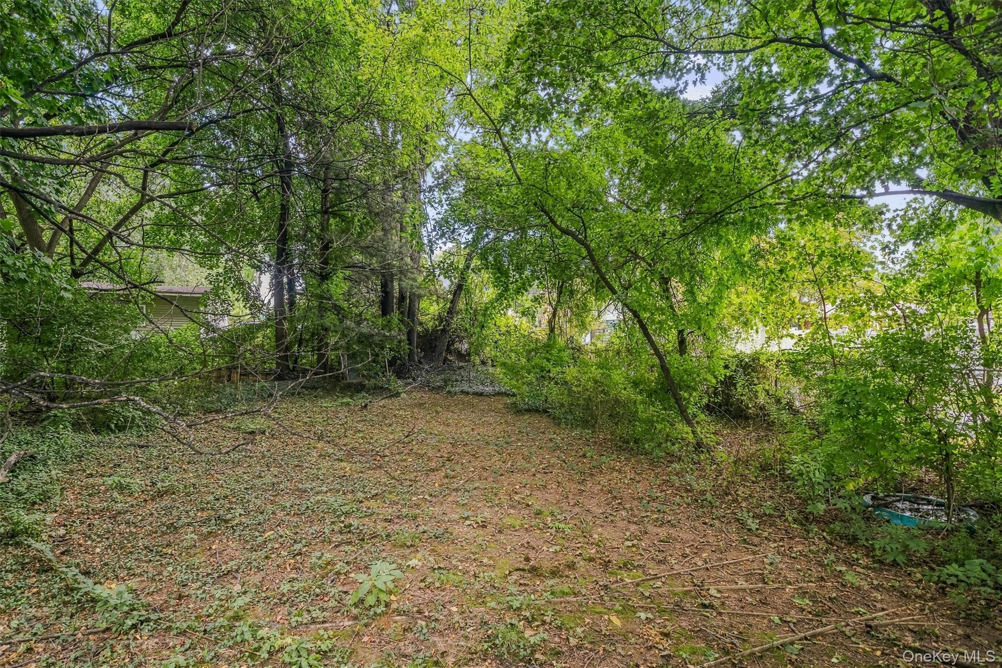 54 Clancy Avenue Property Photo 32