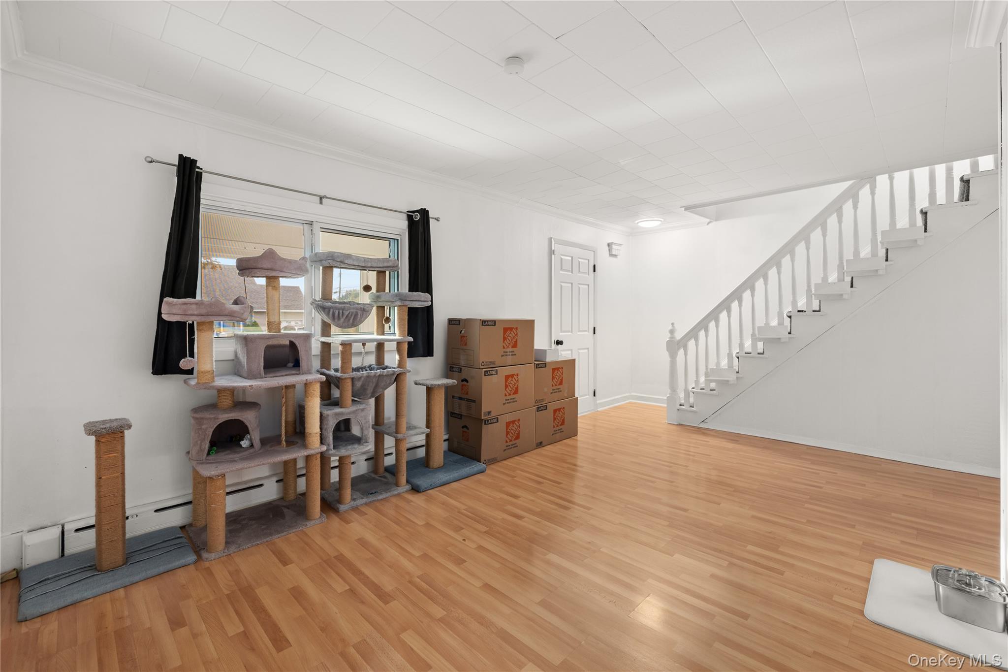 368 Catskill Avenue Property Photo 10