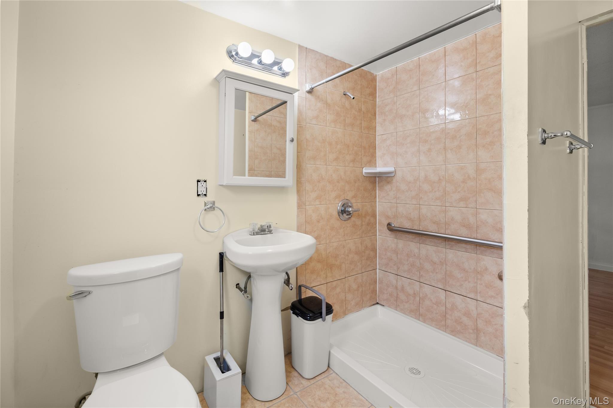 368 Catskill Avenue Property Photo 16
