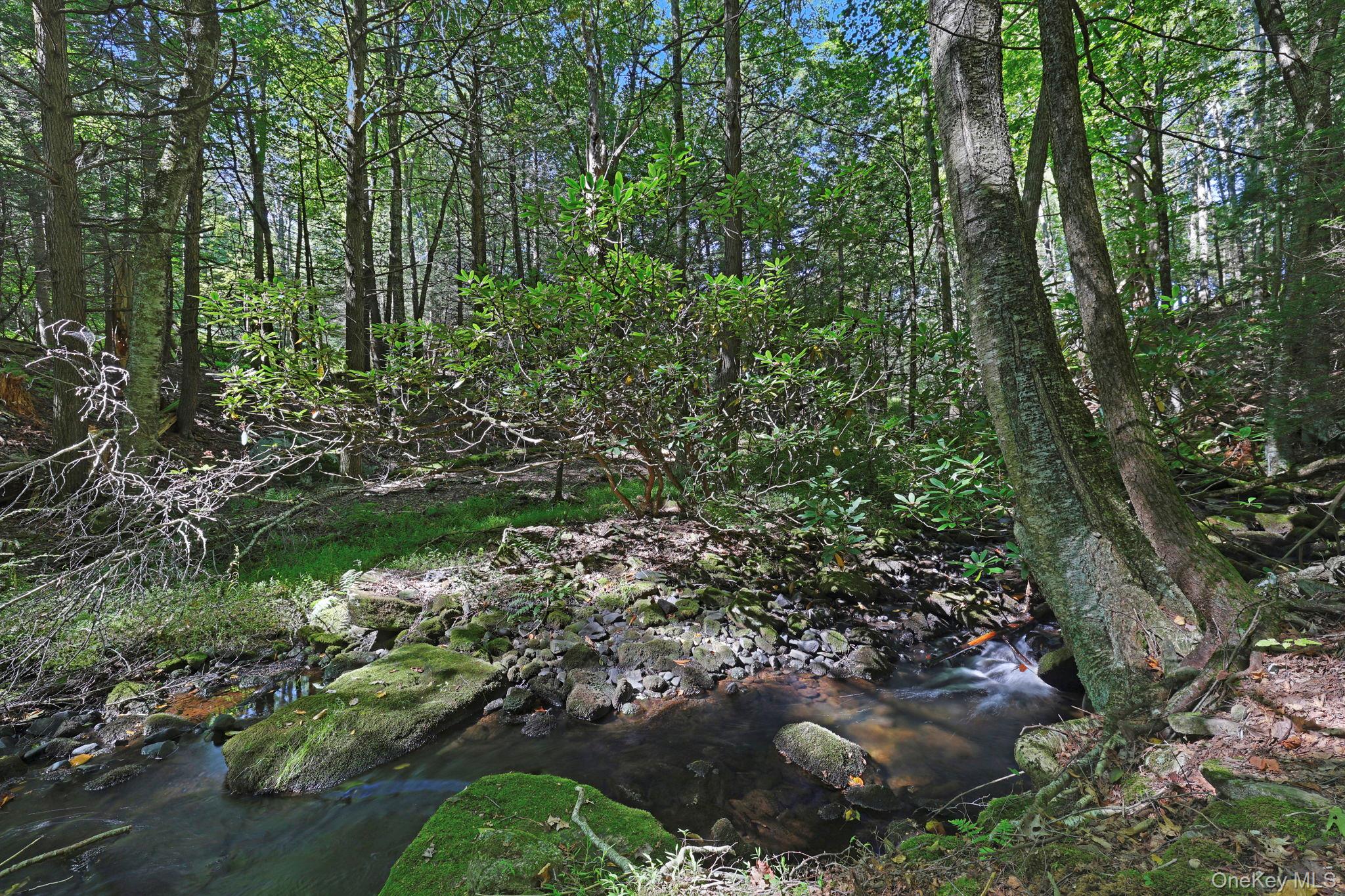 290 County Route 56 Property Photo 27