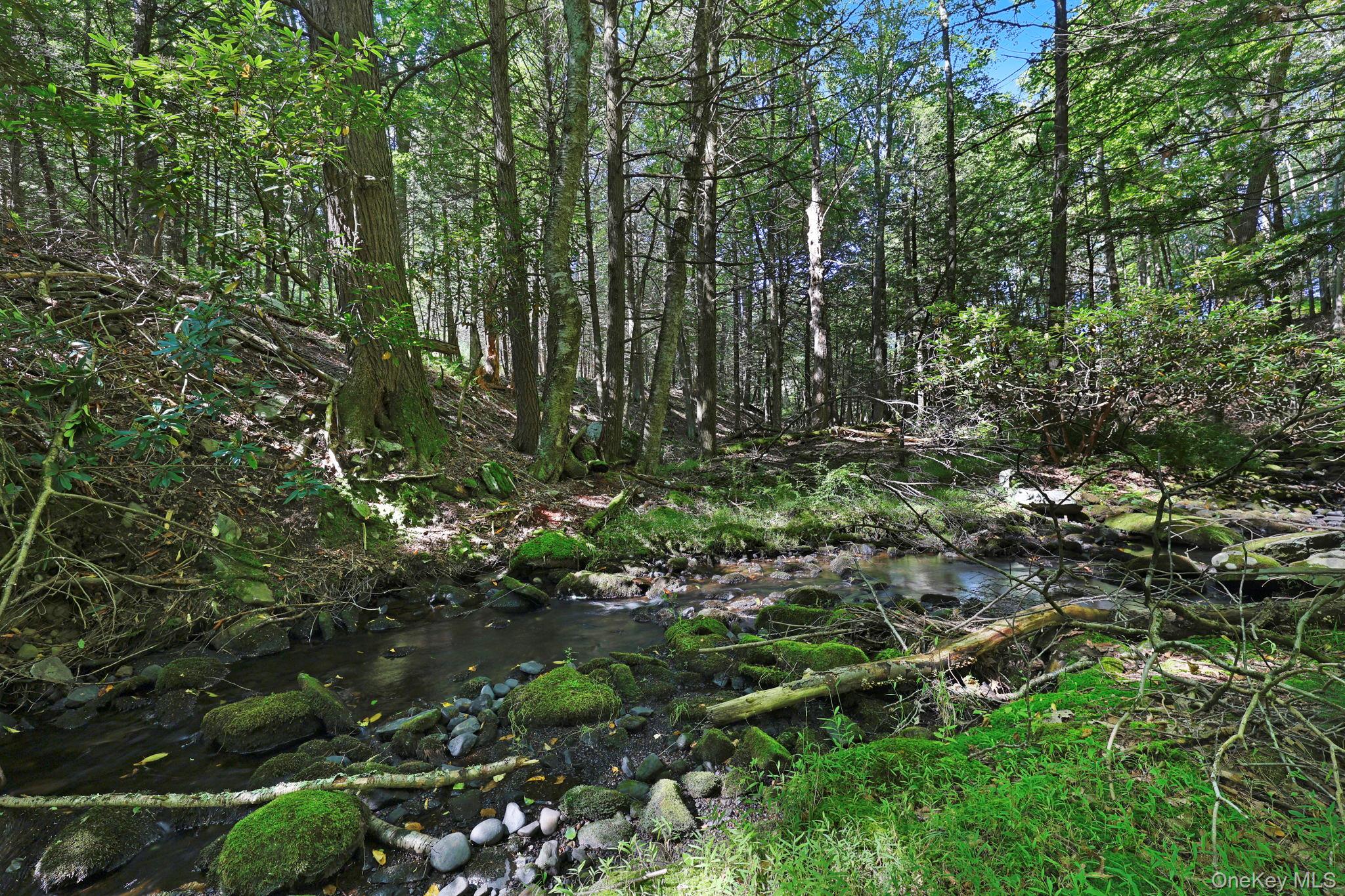 290 County Route 56 Property Photo 28