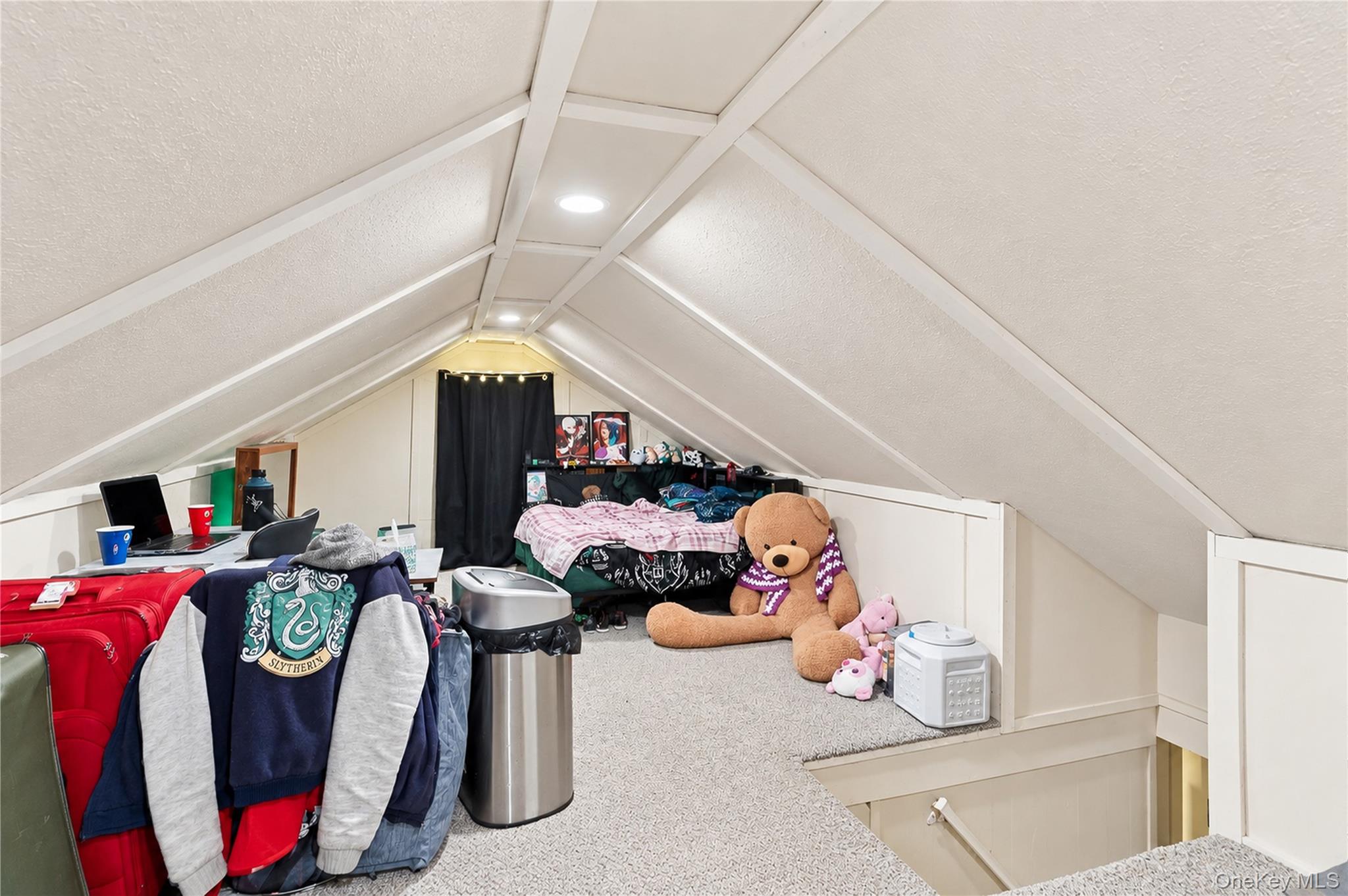 18 Underhill Avenue Property Photo 11