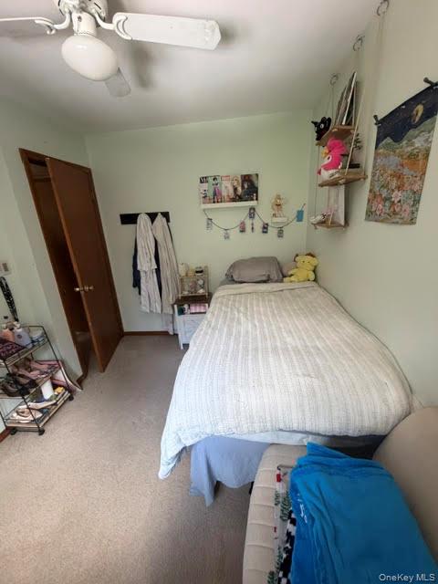 6 Hamlet Court Property Photo 25