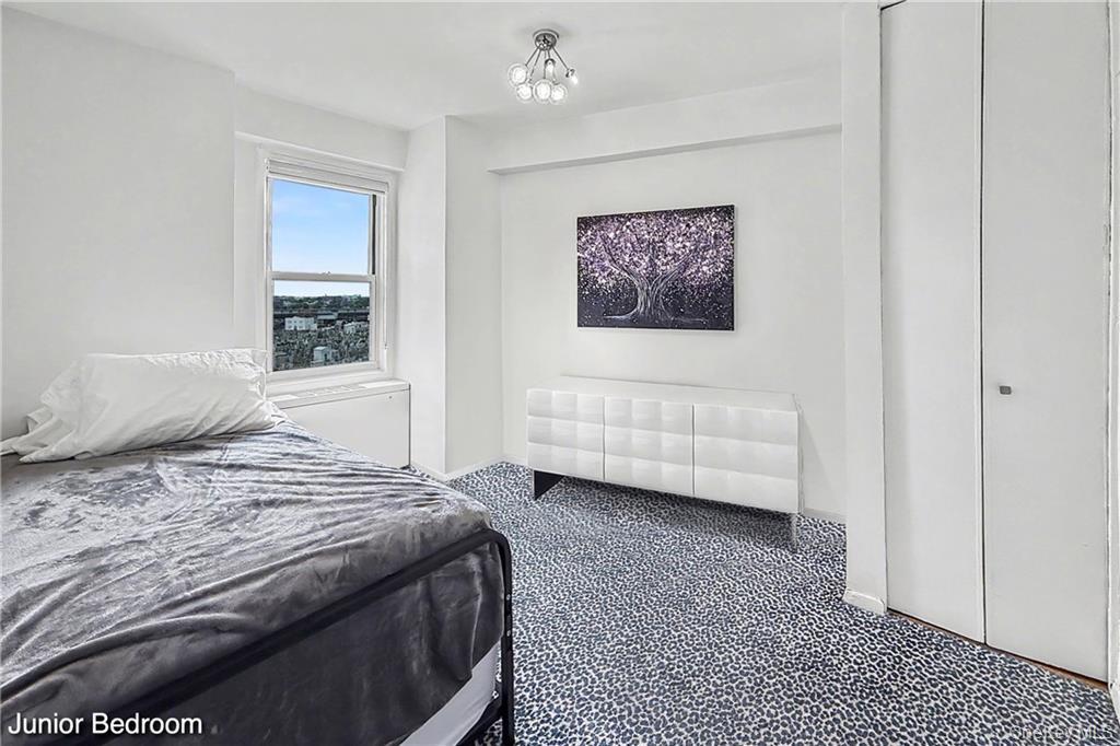 1170 Ocean Parkway 8j Property Photo 6
