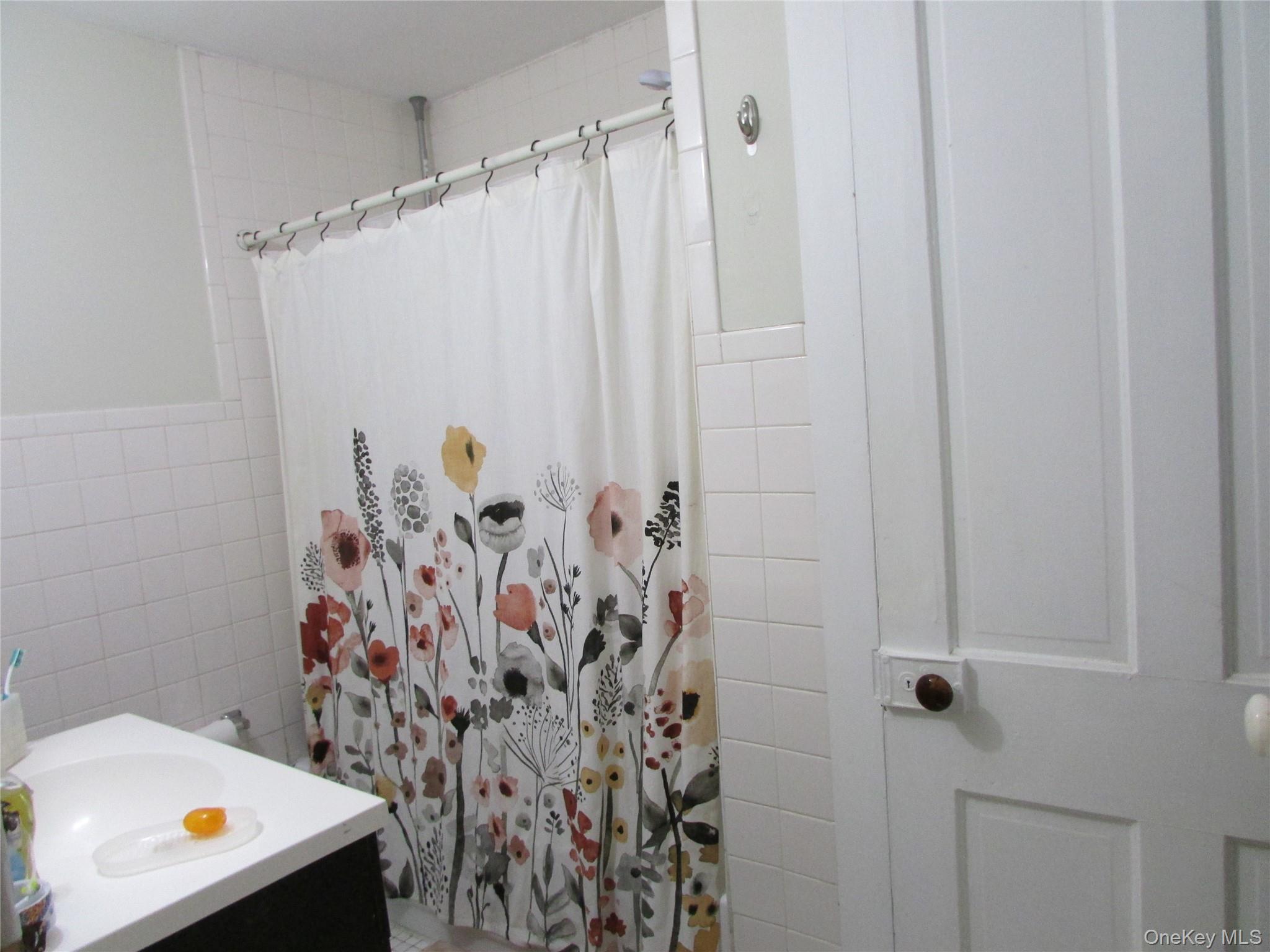 43 Clinton Street 2 Property Photo 16