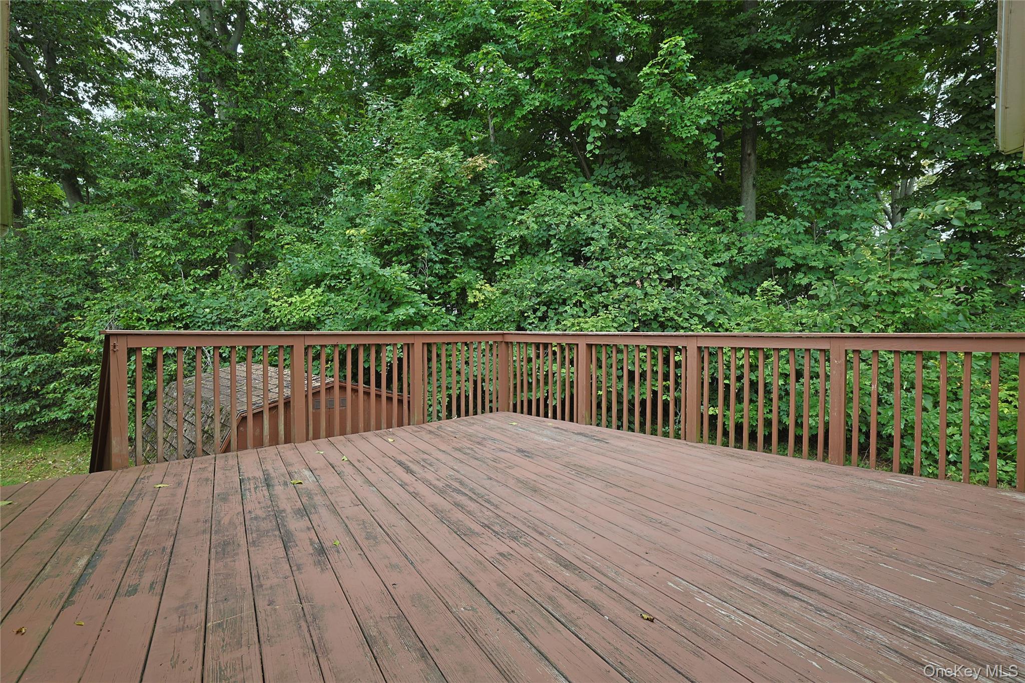 60 Gerardine Place Property Photo 19