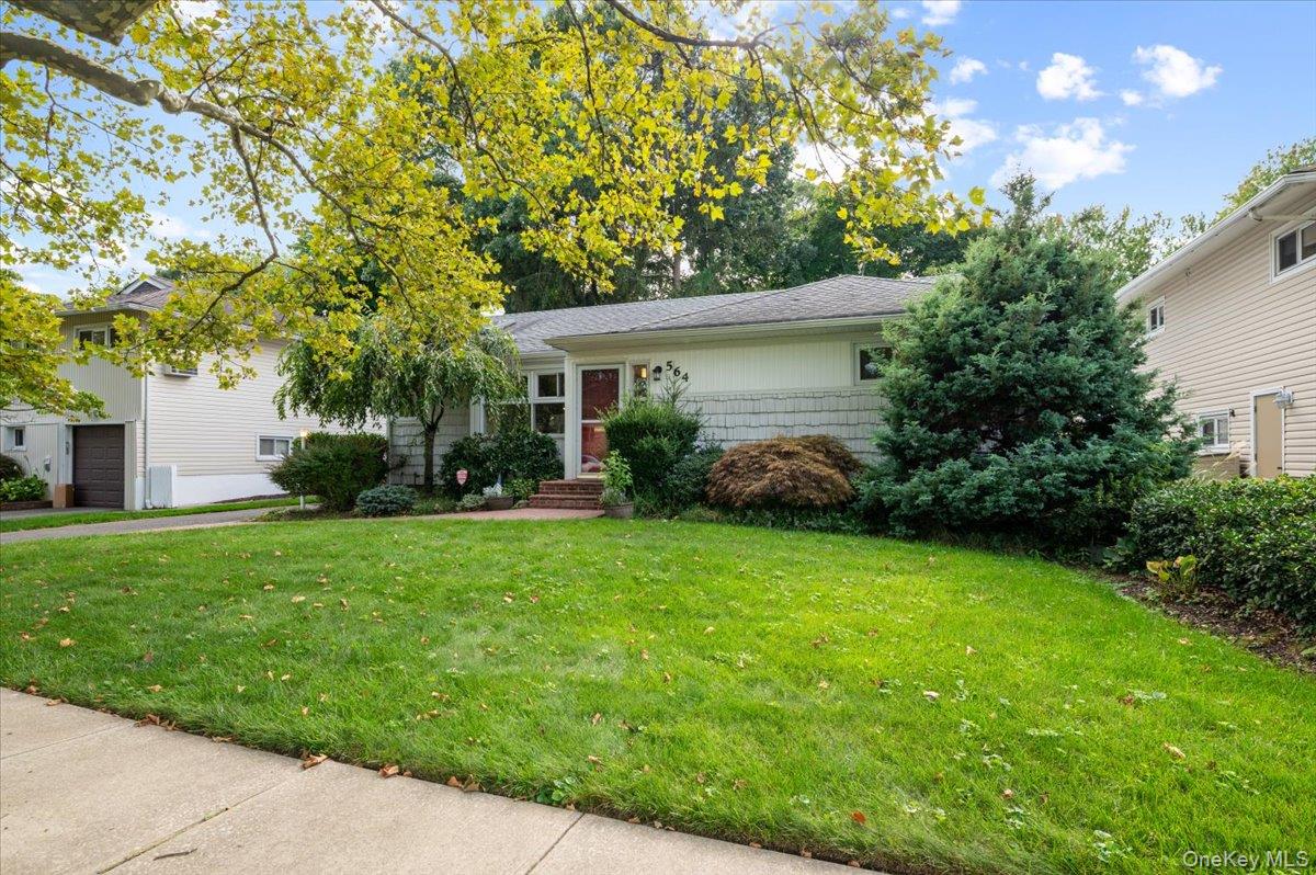 564 Richmond Road Property Photo 1