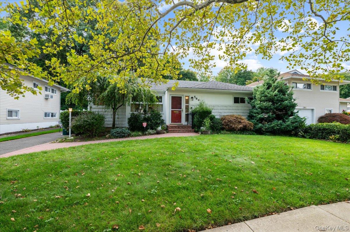 564 Richmond Road Property Photo 2