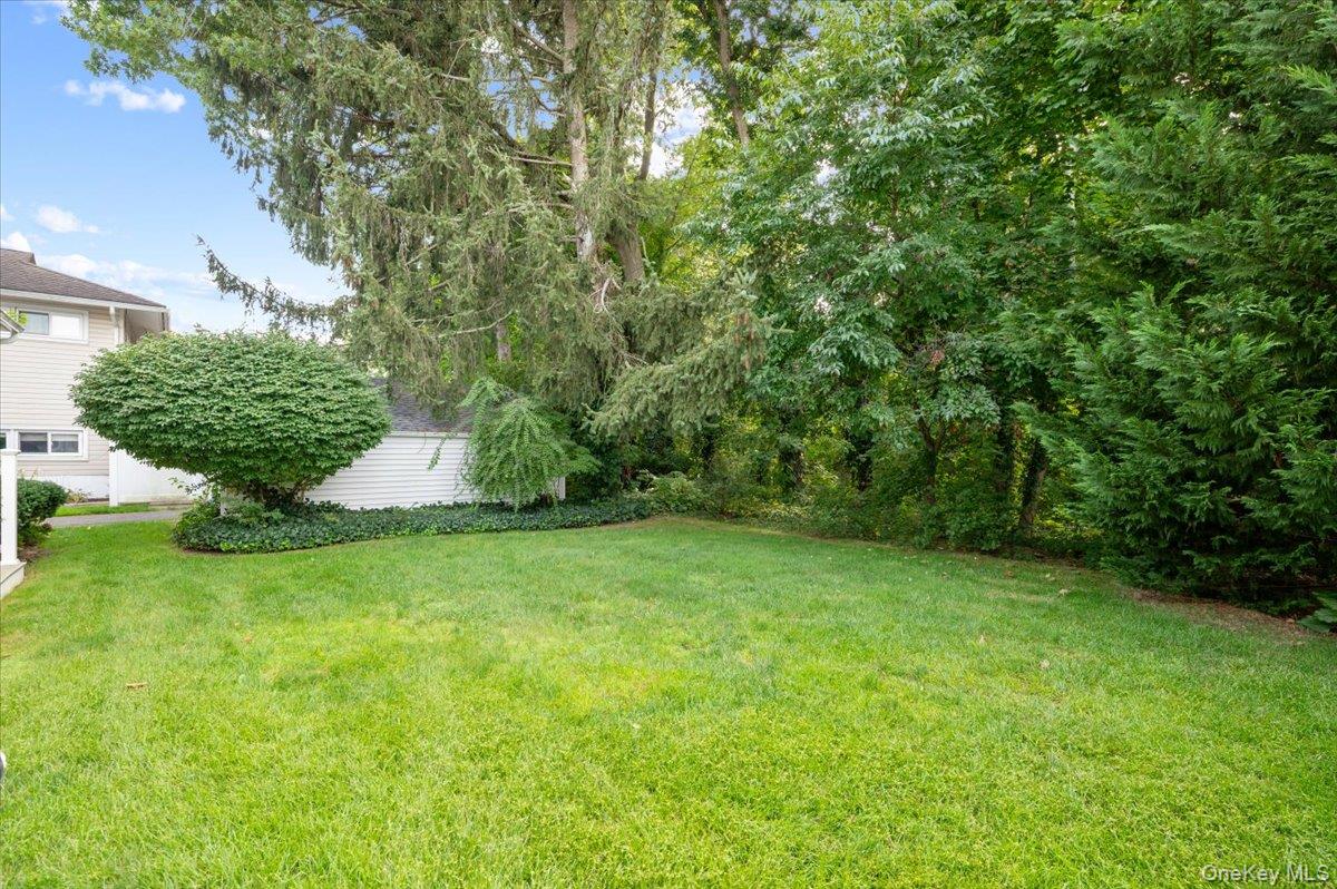 564 Richmond Road Property Photo 27