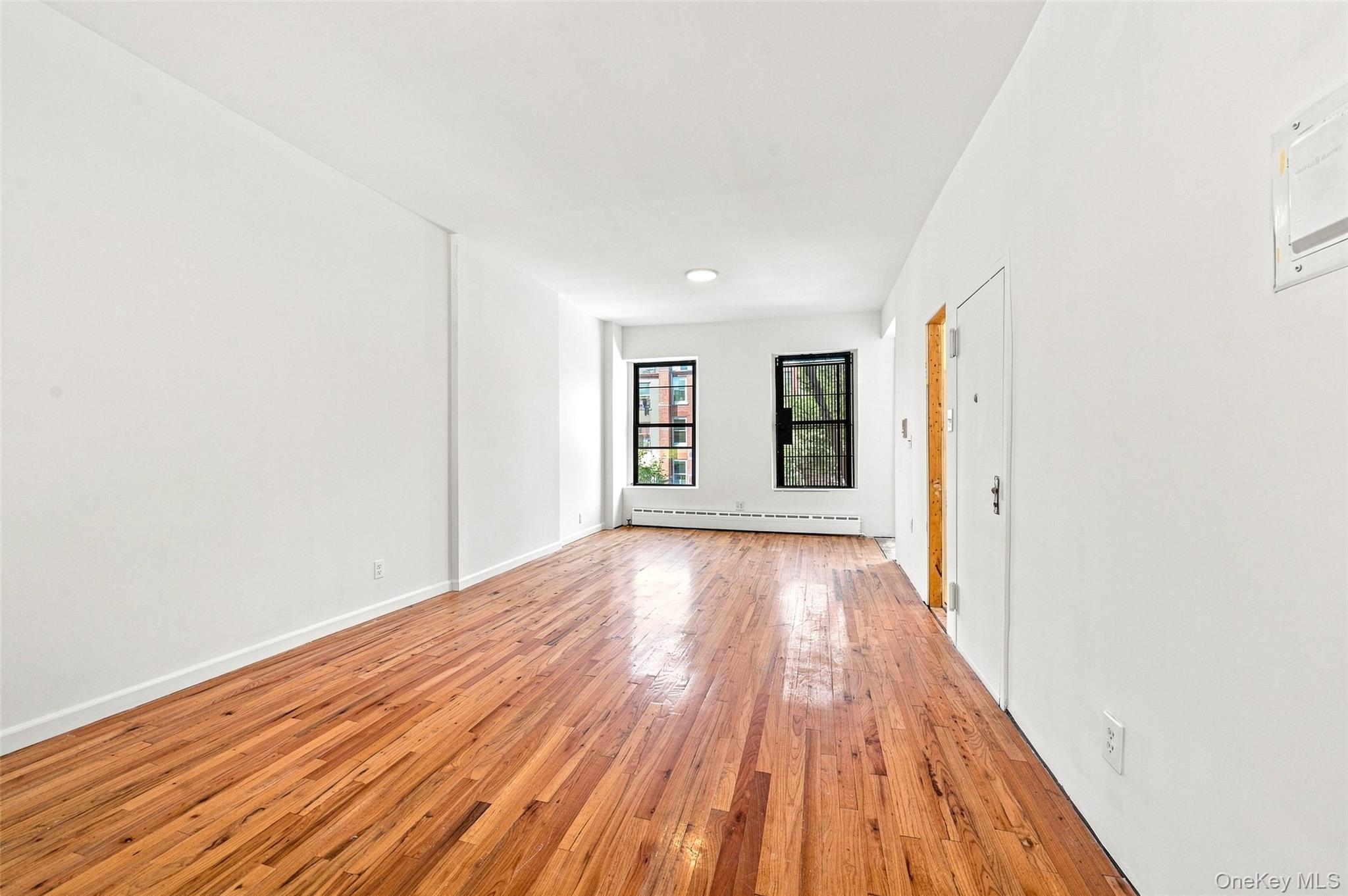 117 President Street Property Photo 23