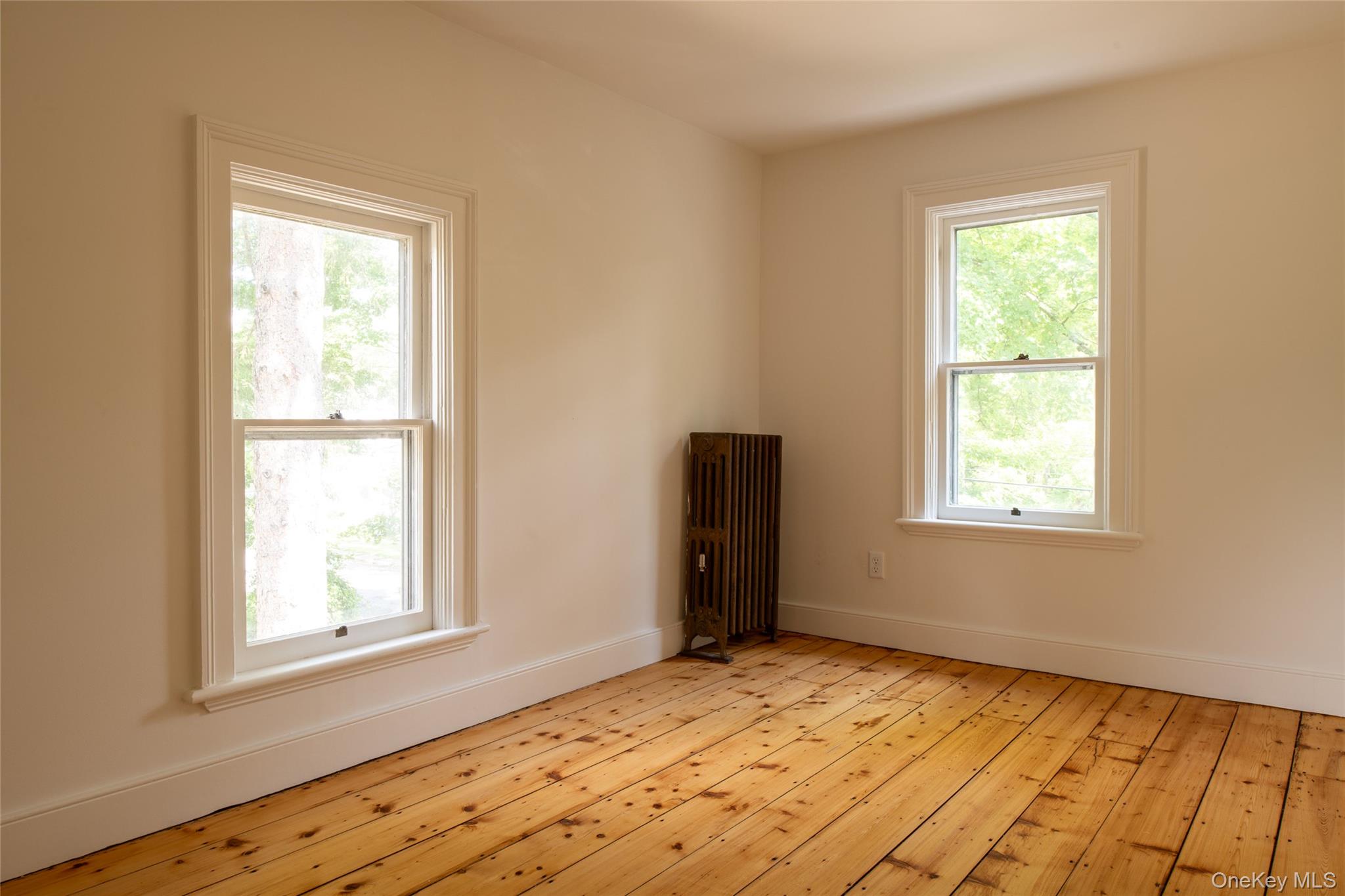 42-44 Montgomery Street Property Photo 37