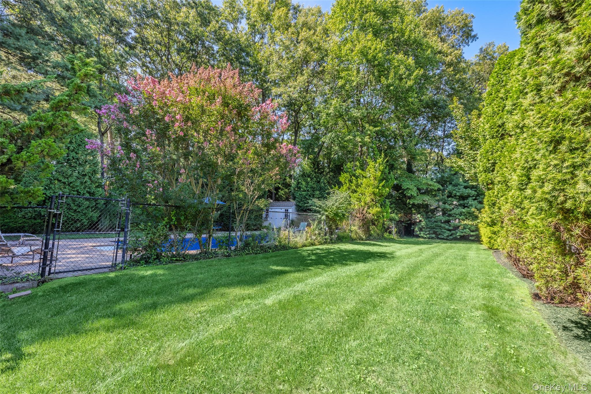 7 Holly Lane Property Photo 36