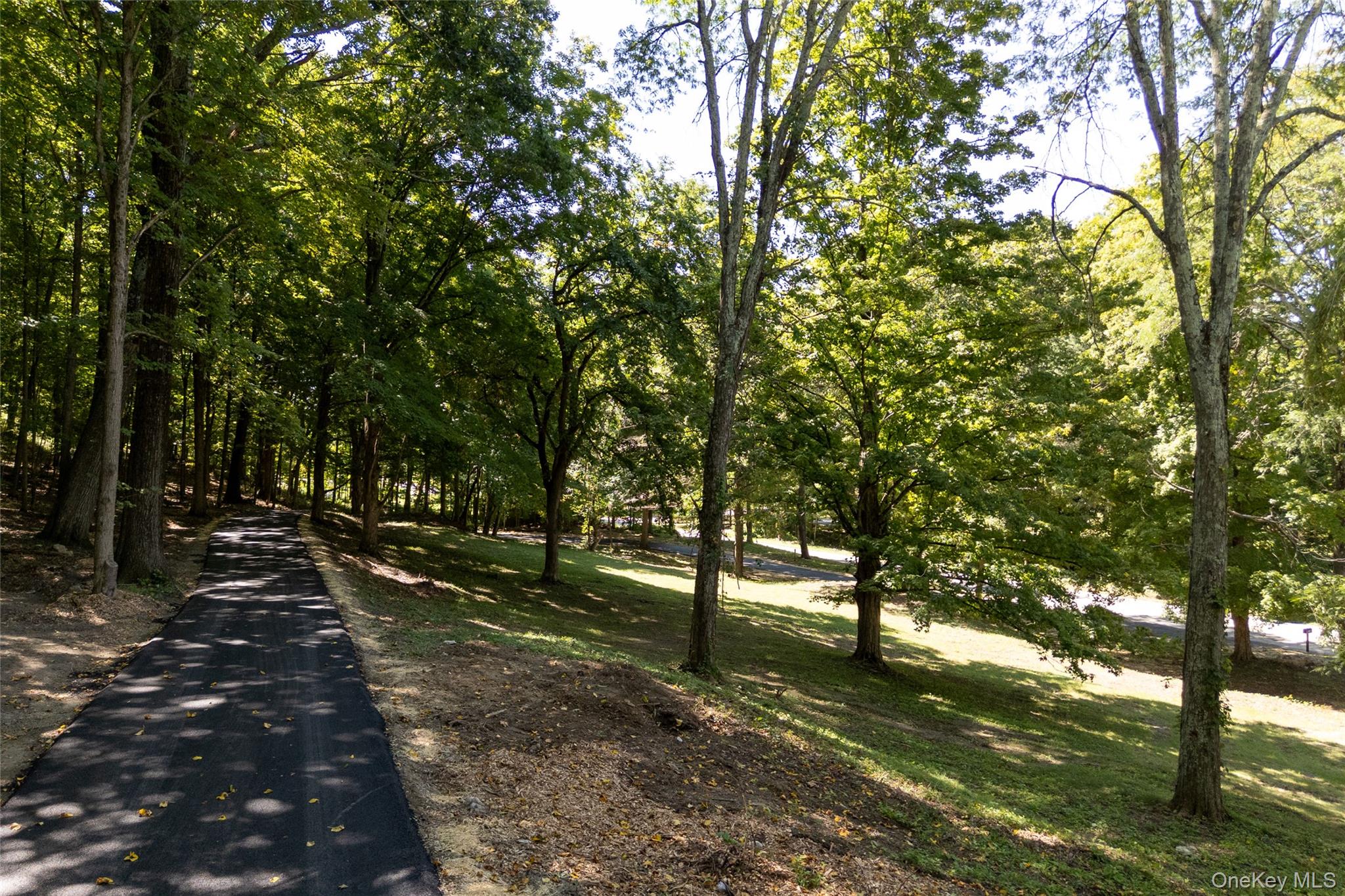 156 Farm Road Property Photo 5