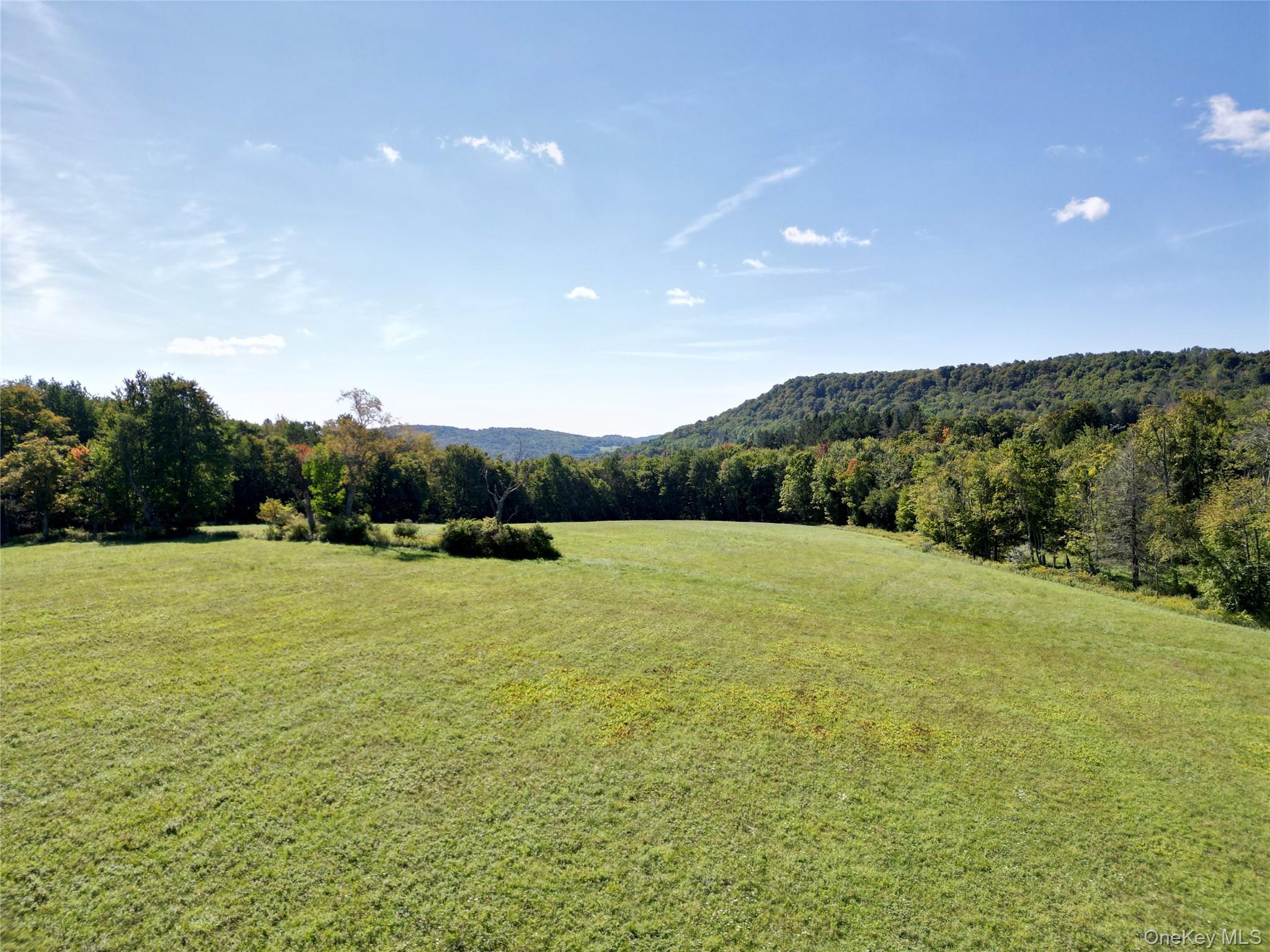 197 Weiss Road Property Photo 32