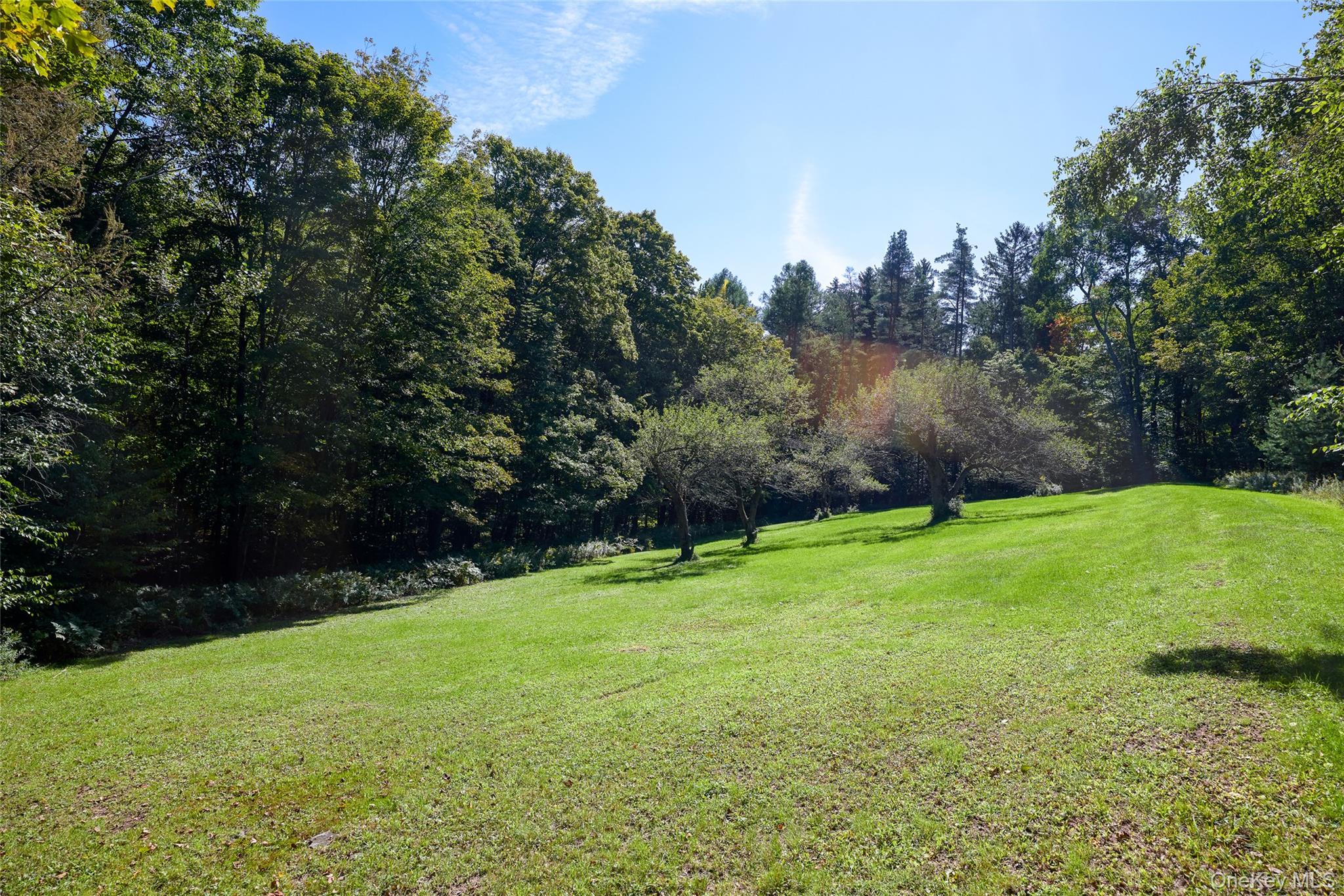 197 Weiss Road Property Photo 33