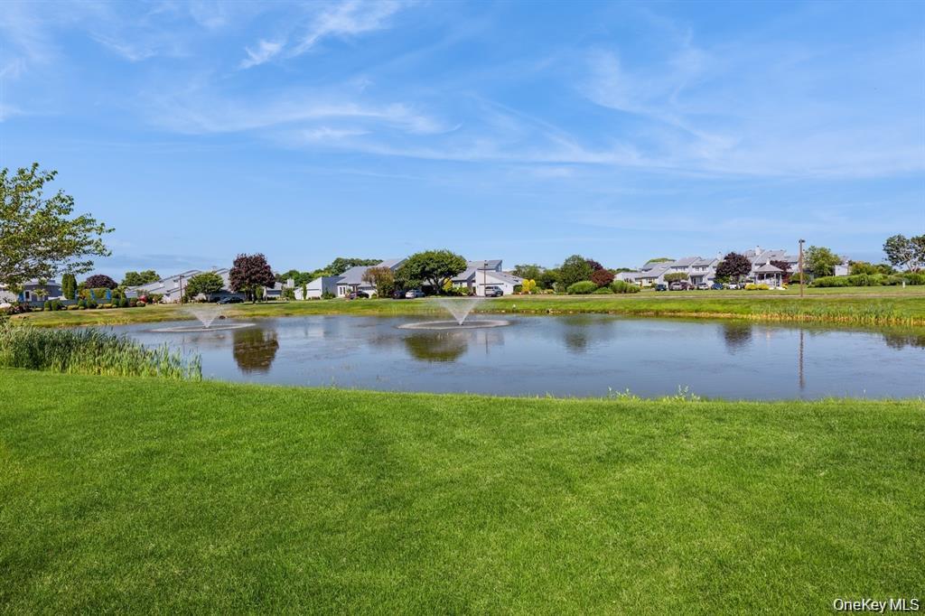 34 Harbour Property Photo 19
