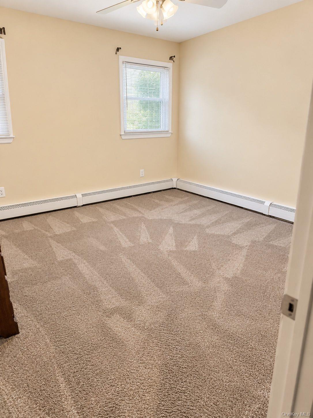 43 Horton Street Property Photo 19