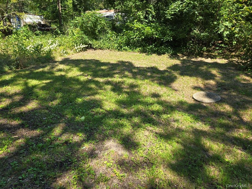 29 Bell Avenue Property Photo 17