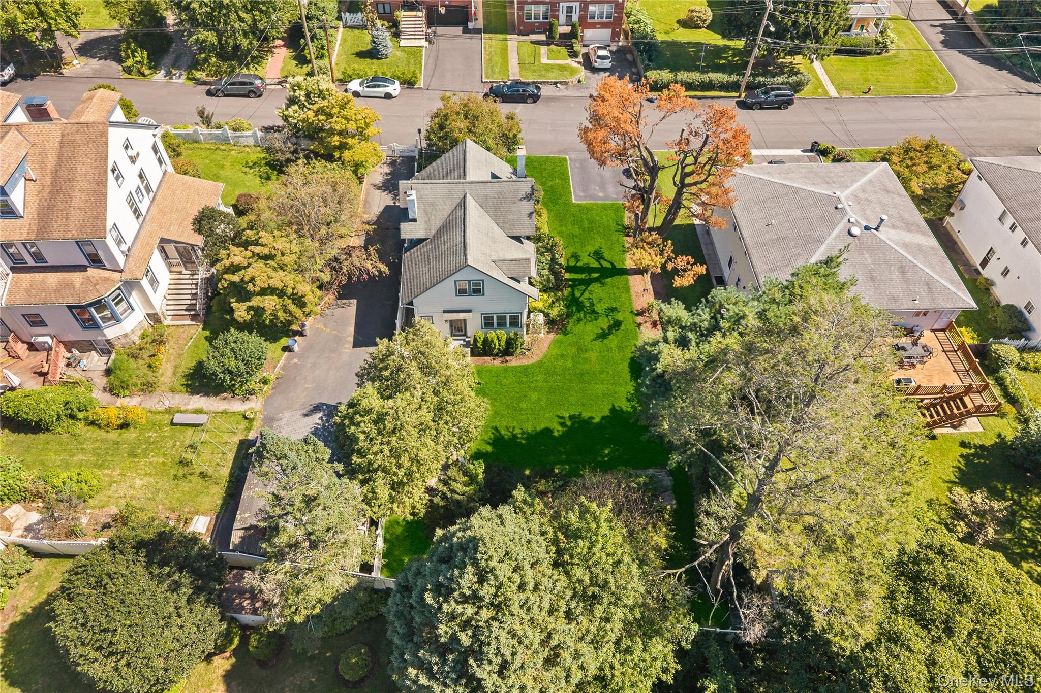 33 Cassilis Avenue Property Photo 39