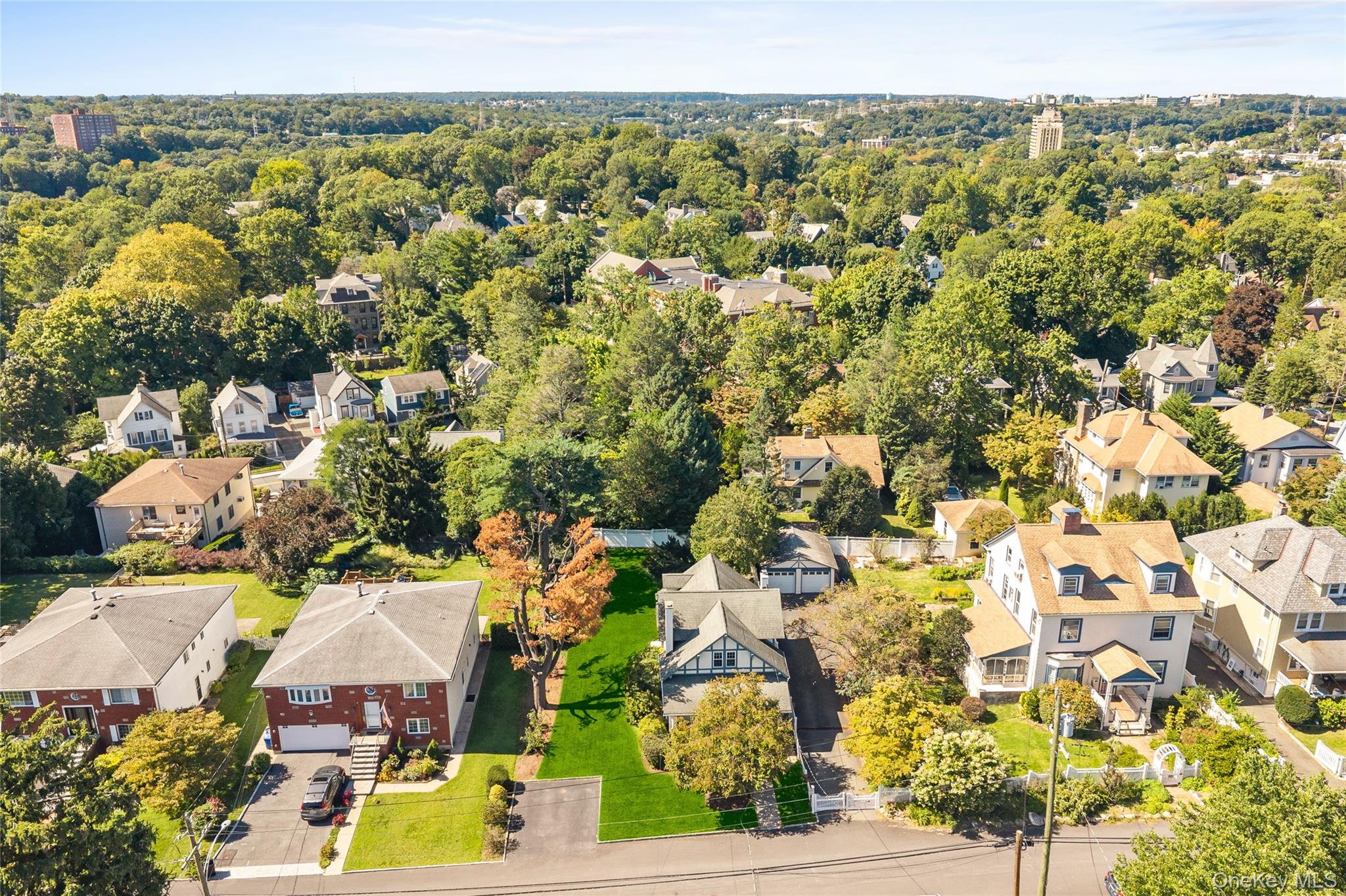 33 Cassilis Avenue Property Photo 43