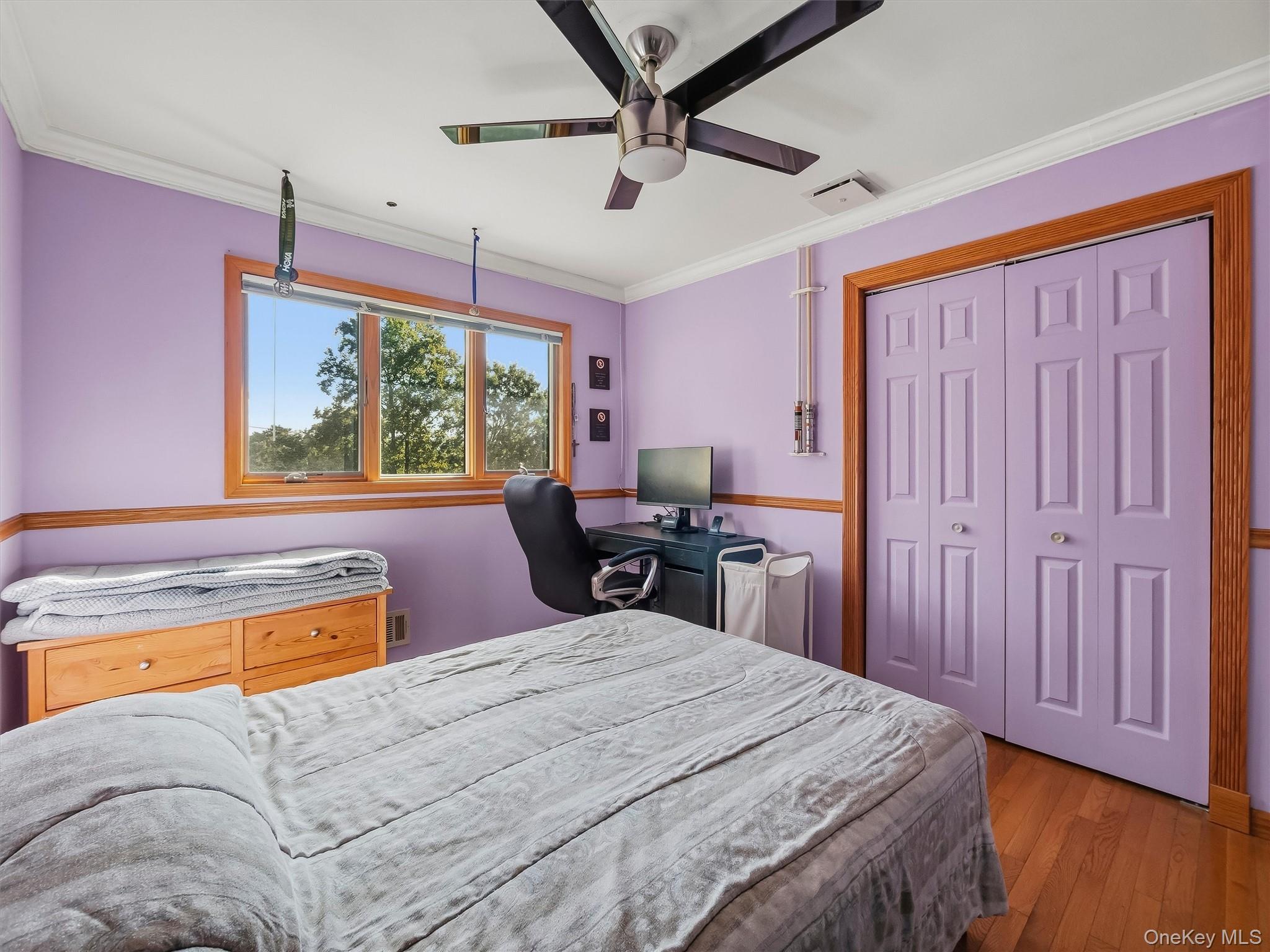 58 Regina Road Property Photo 18