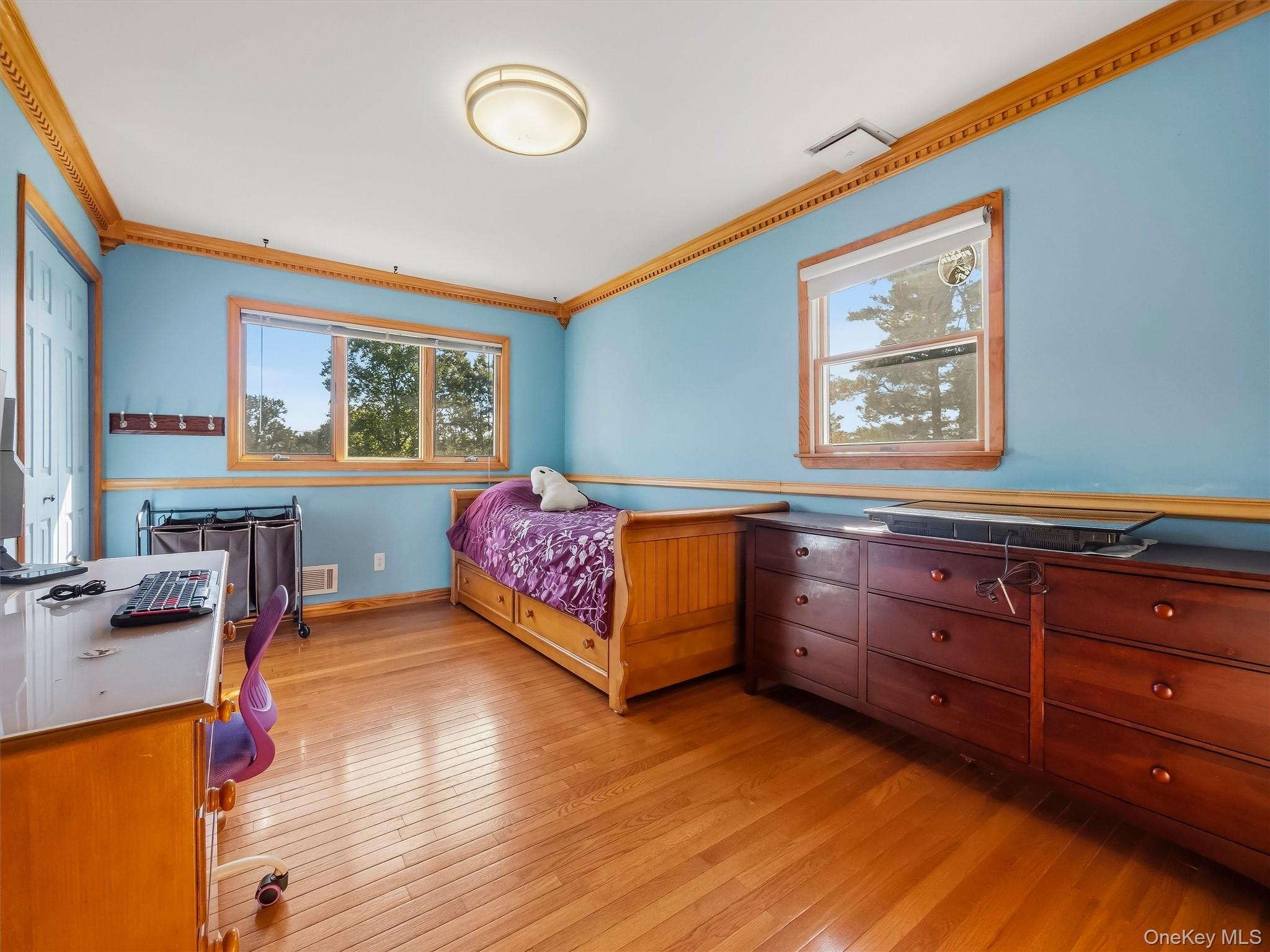 58 Regina Road Property Photo 19