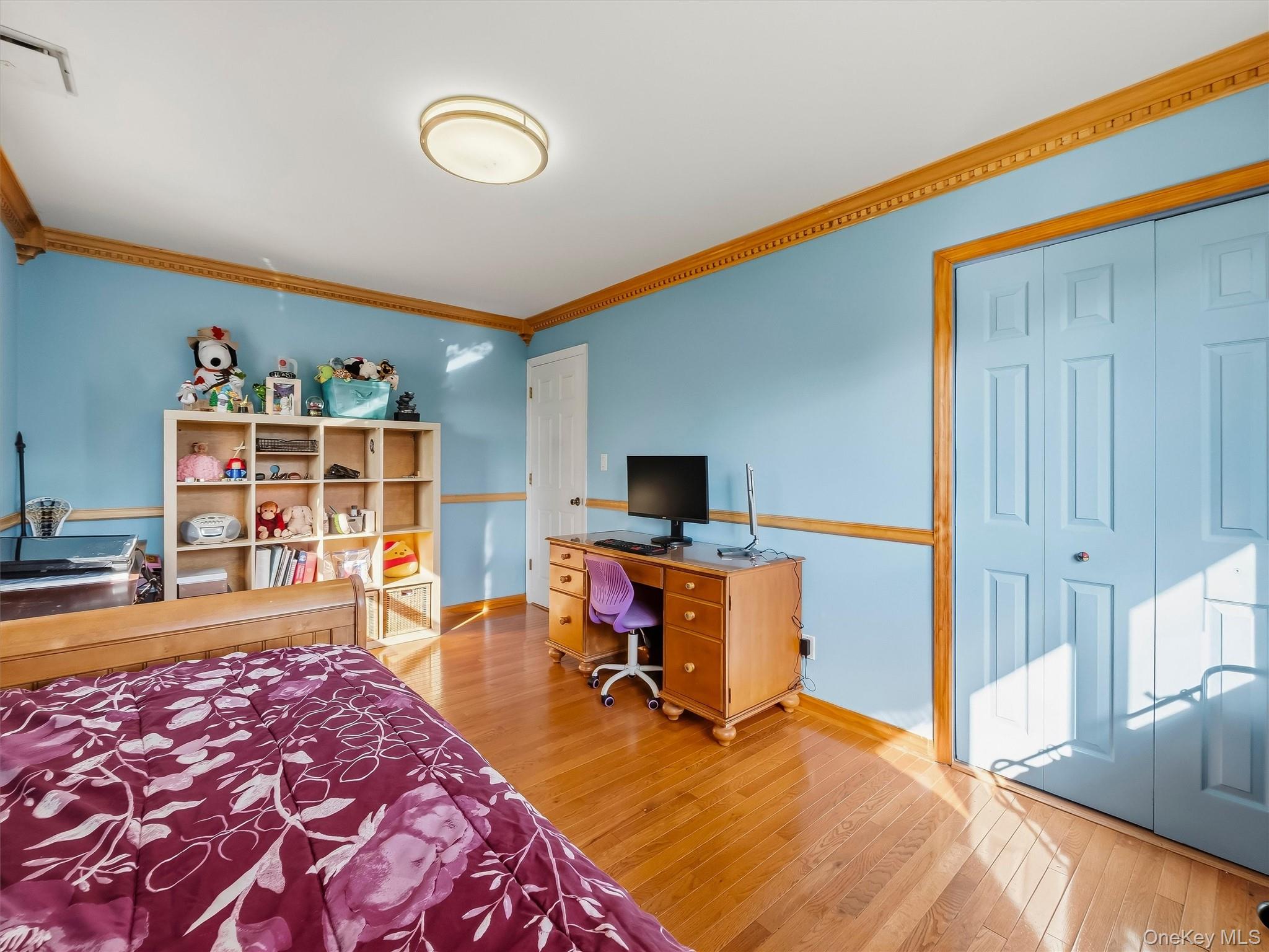 58 Regina Road Property Photo 20