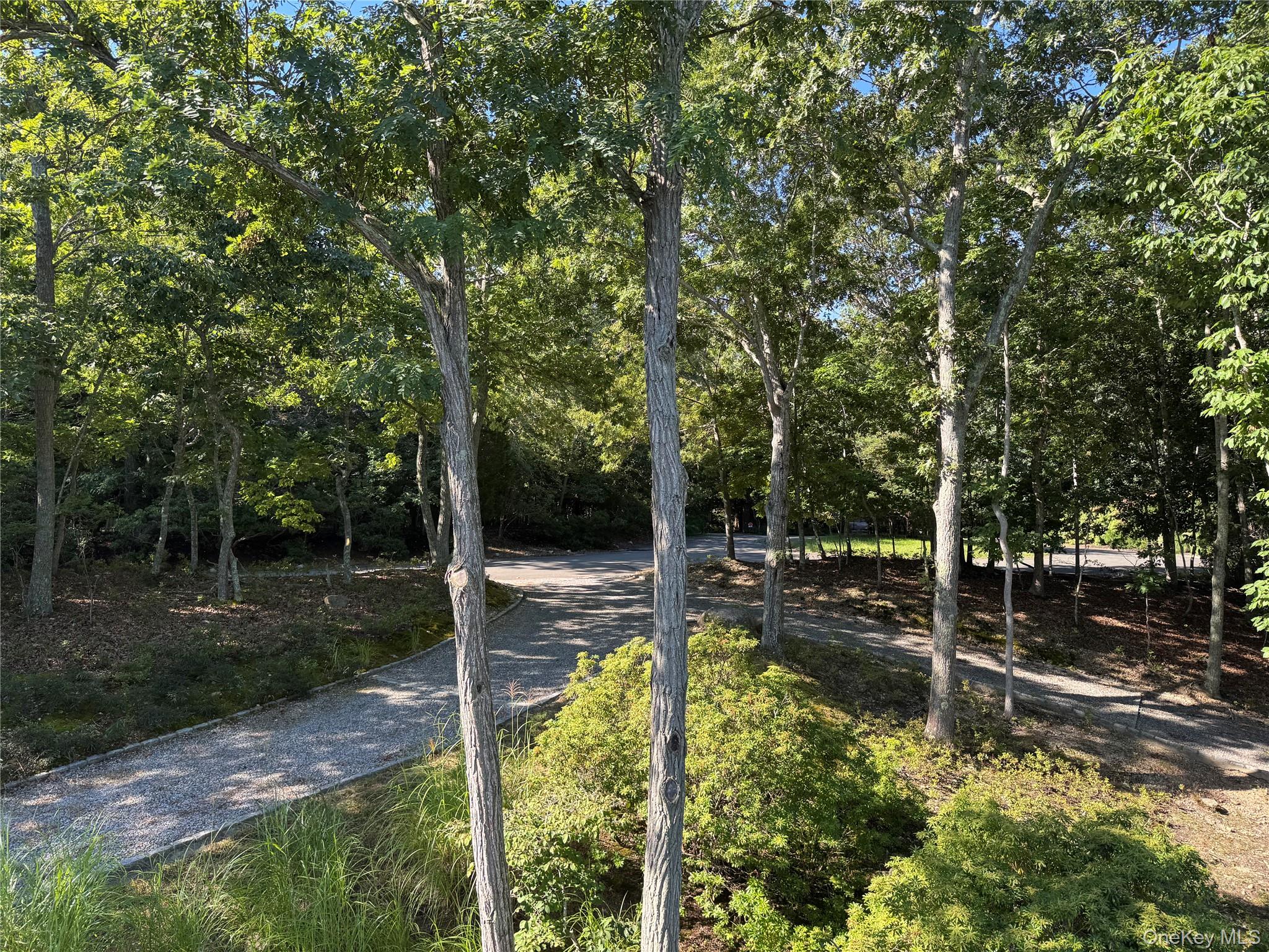 2 Little Court Property Photo 3