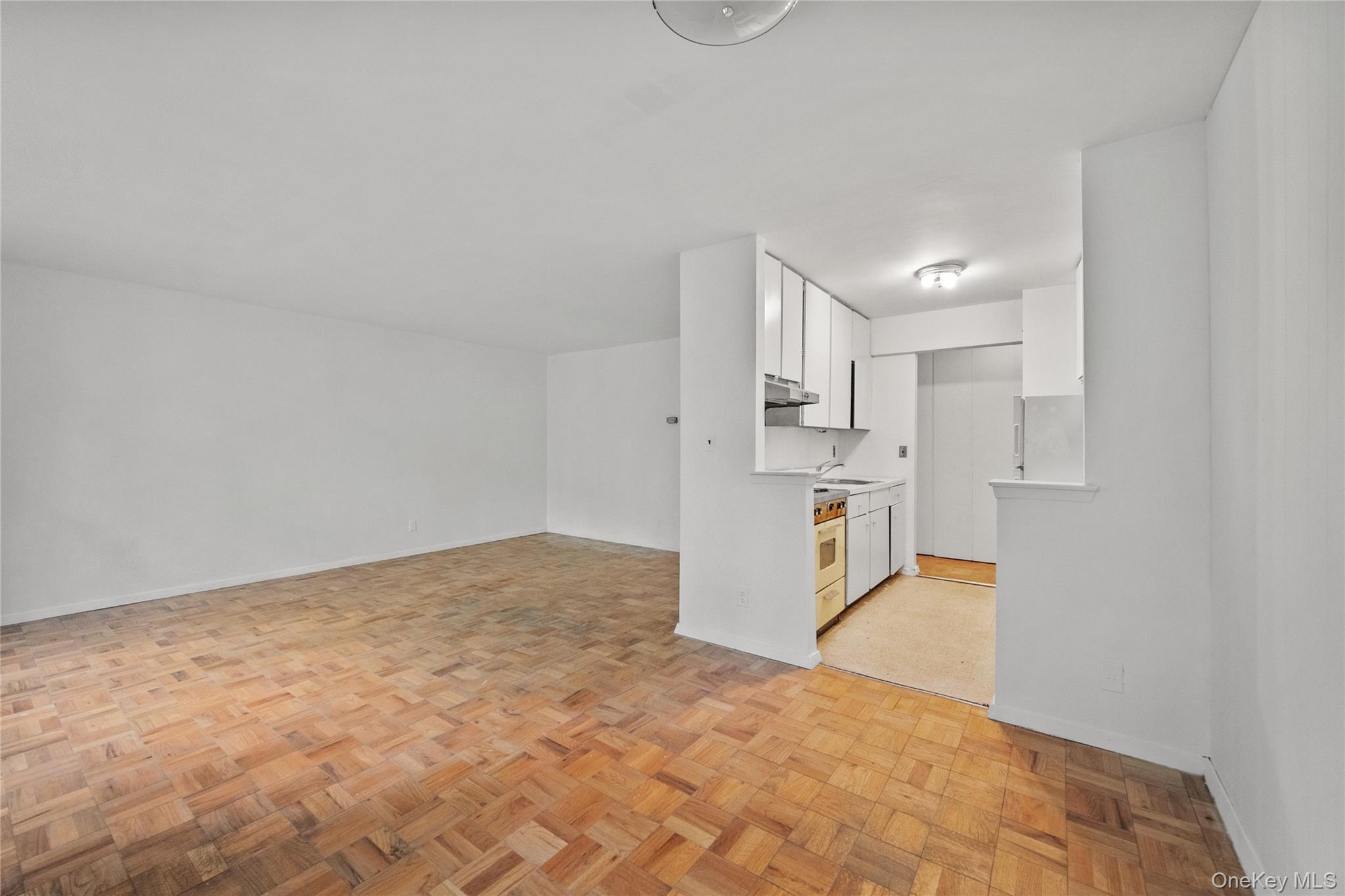 119 E Hartsdale Avenue 2l Property Photo 2