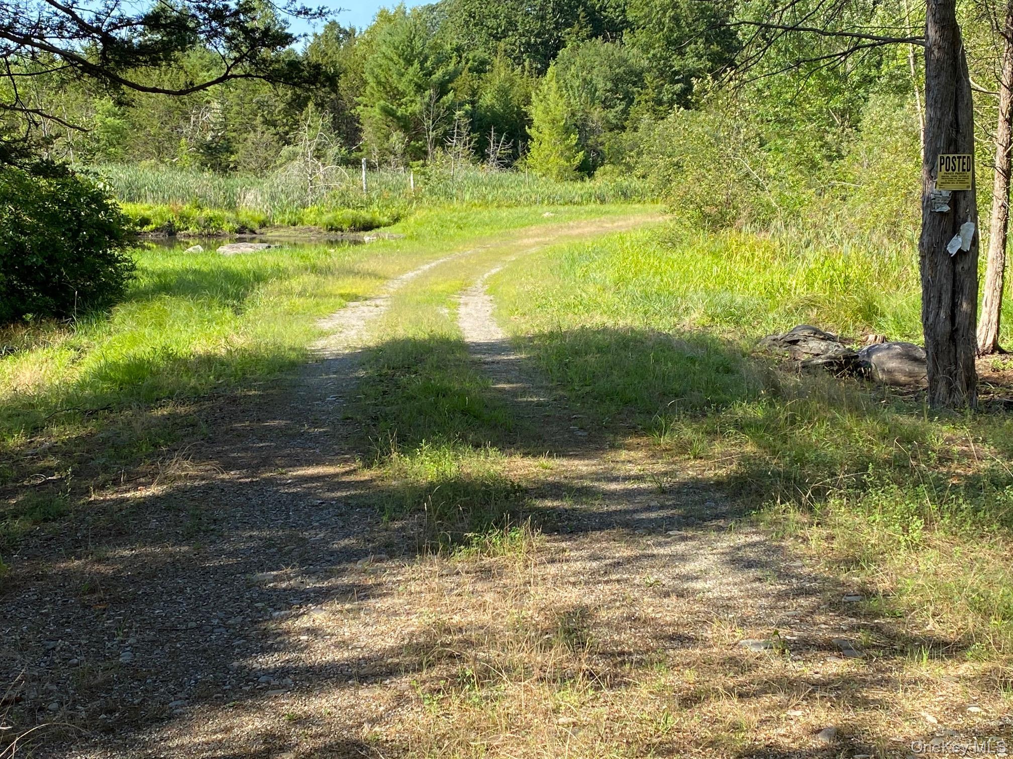 Jerry Property Photo 1