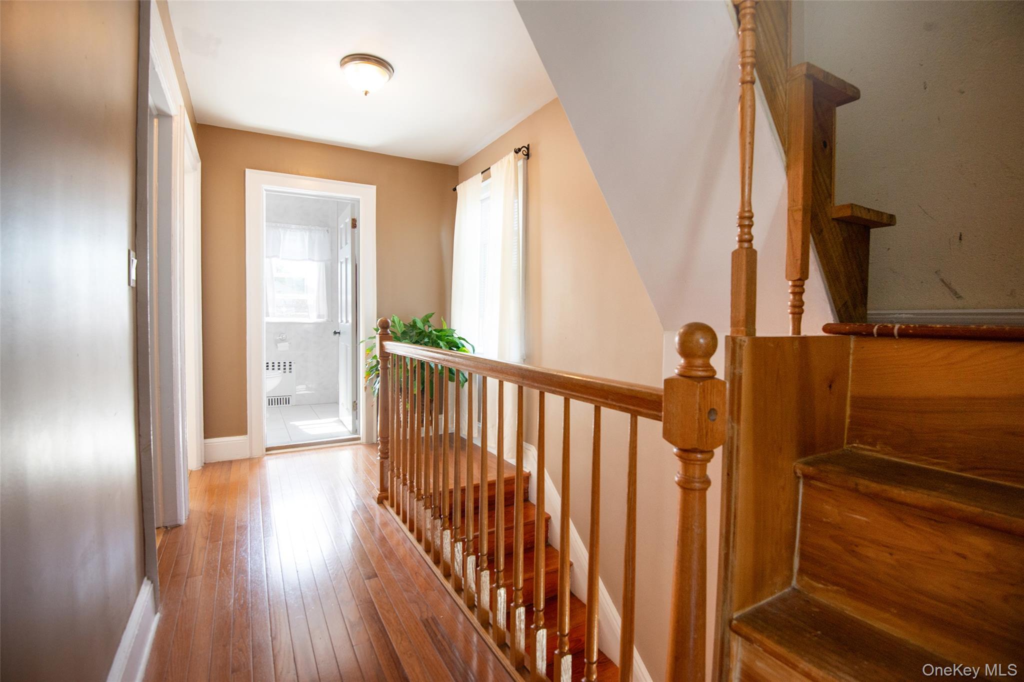 38 Emmett Terrace Property Photo 23