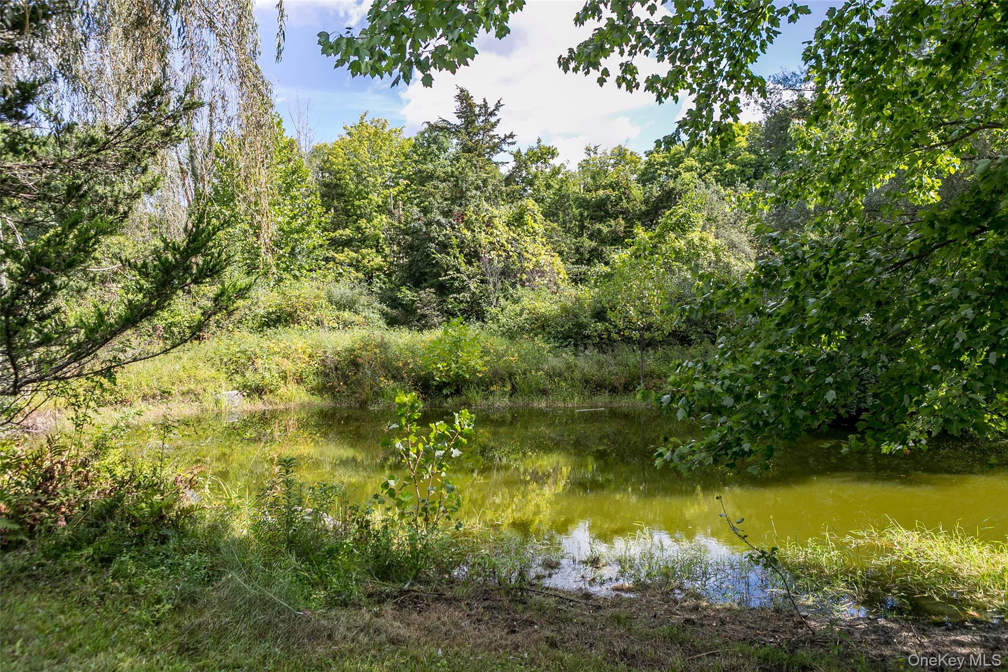 847 Route 82 Property Photo 20