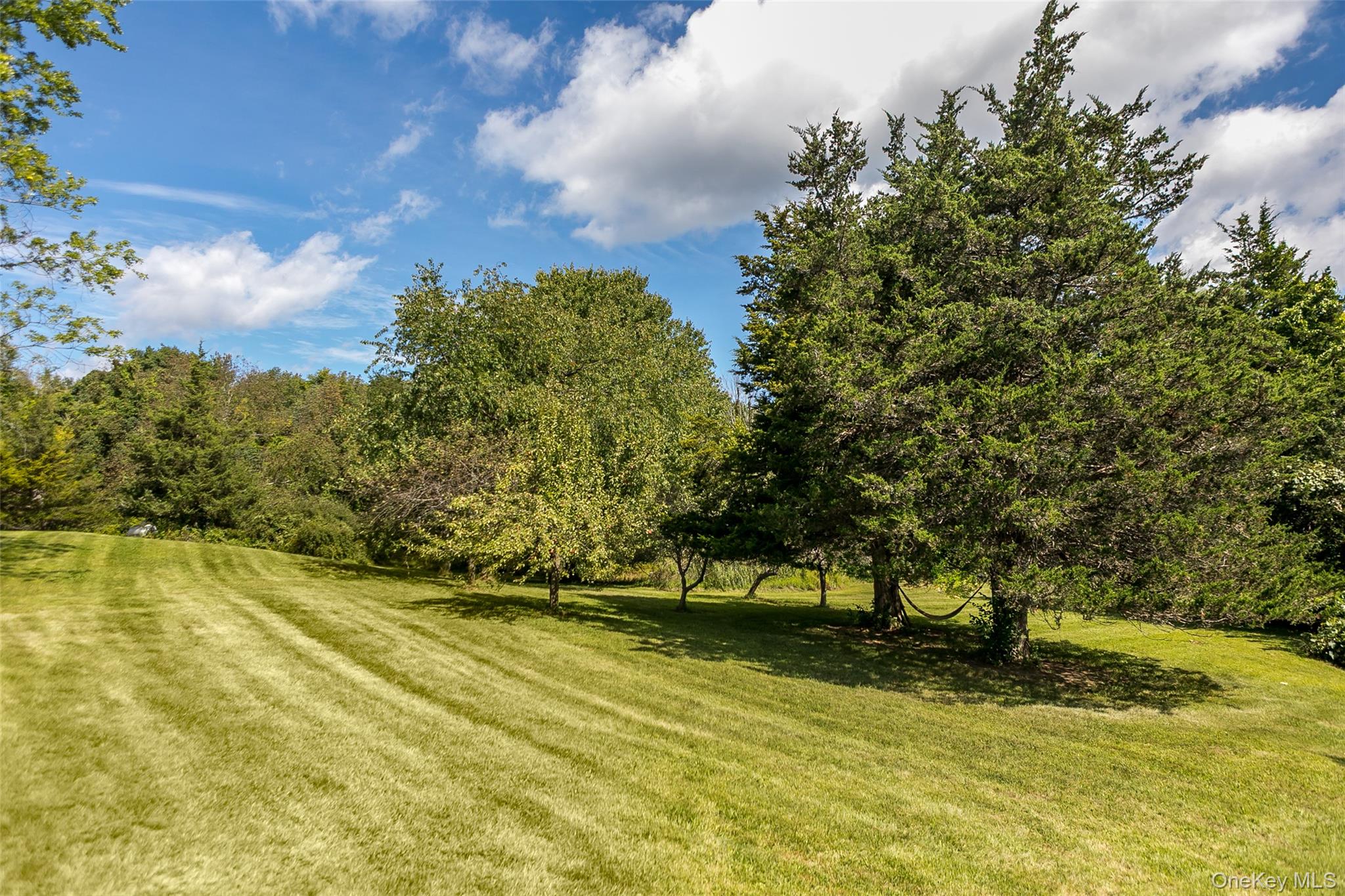 847 Route 82 Property Photo 22