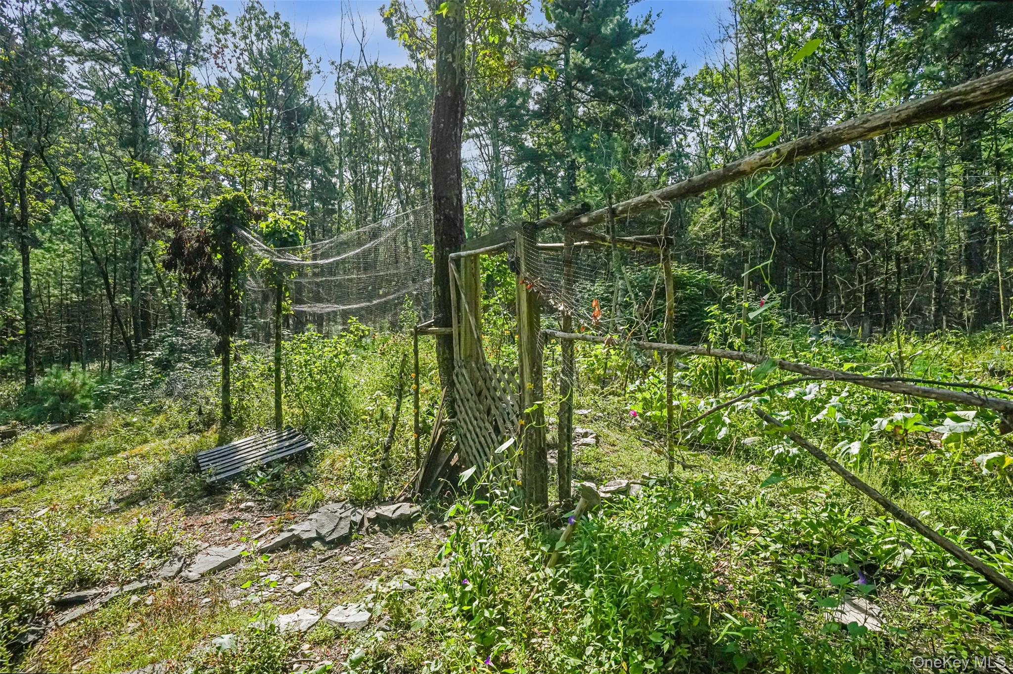 19 Indian Road Property Photo 11