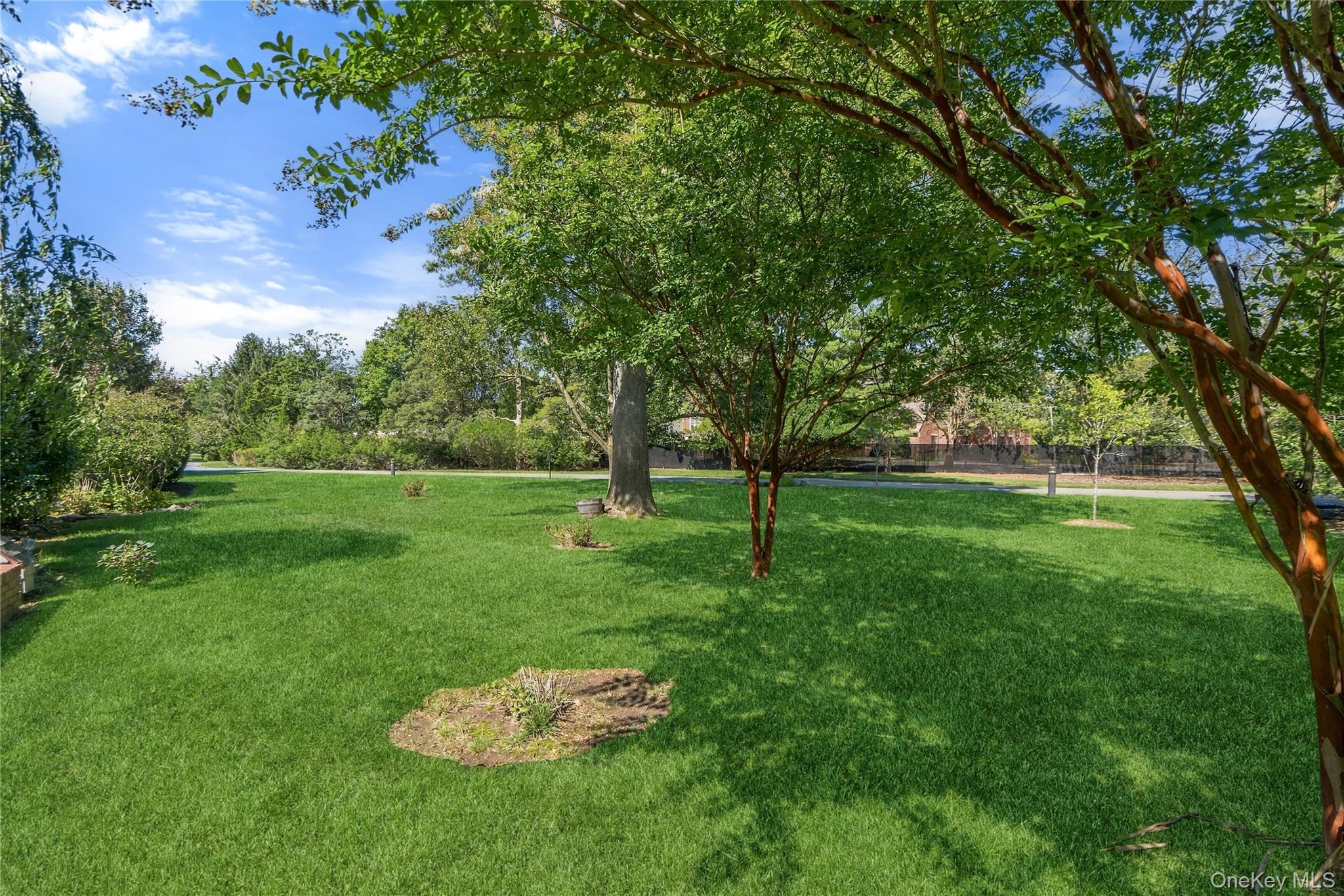 174 Anchor Lane Property Photo 43