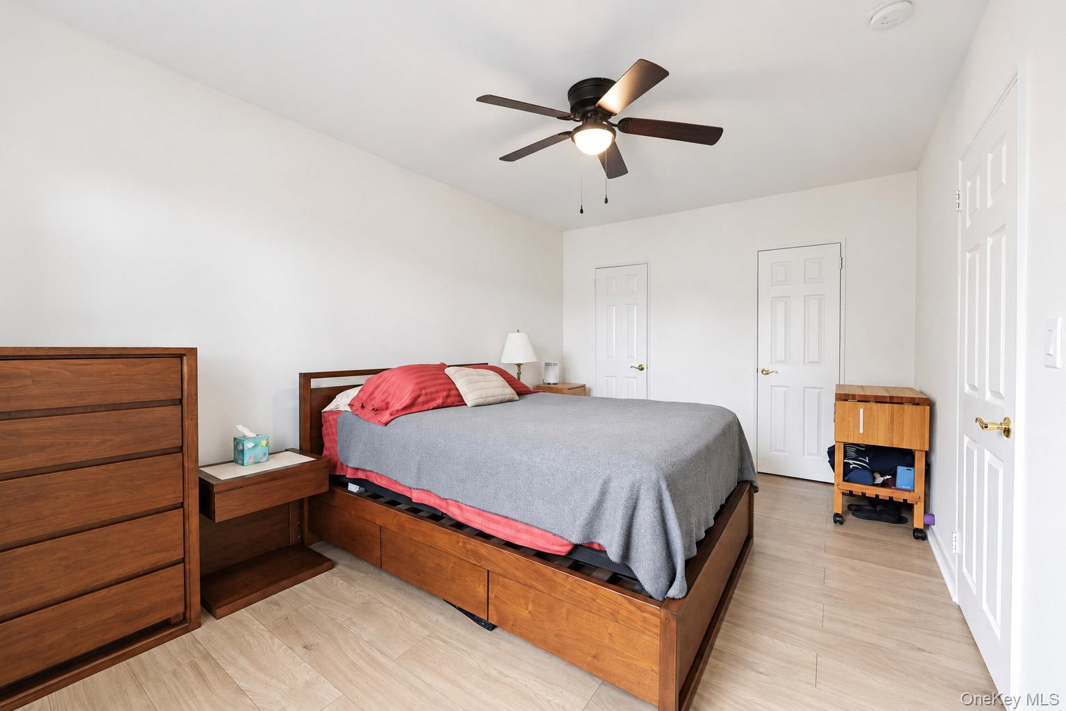 15 Winchester Avenue 2b Property Photo 10